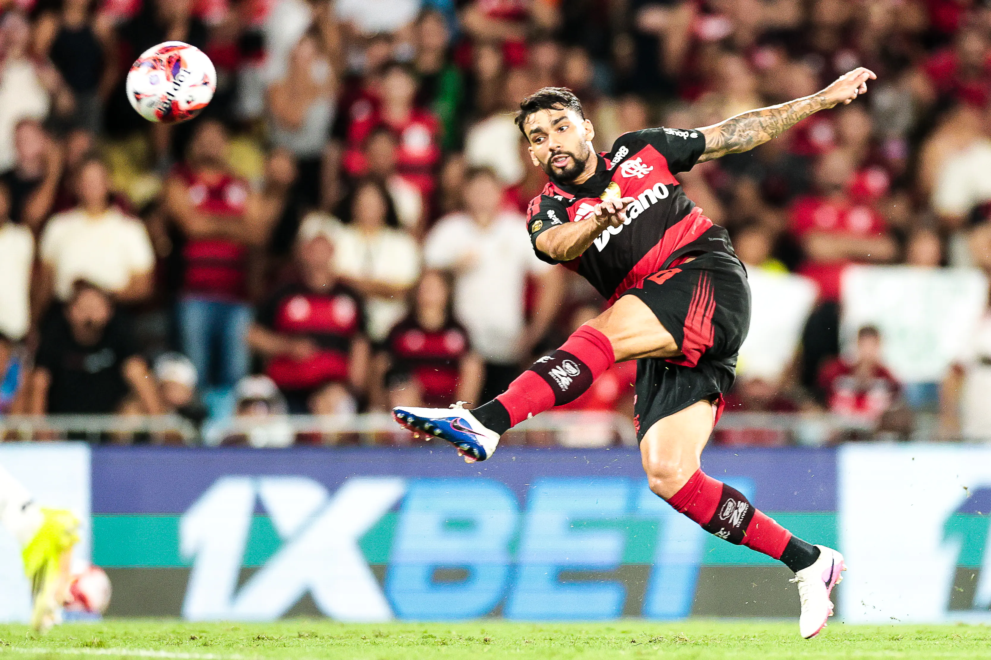 Imagem ilustrativa para a matéria