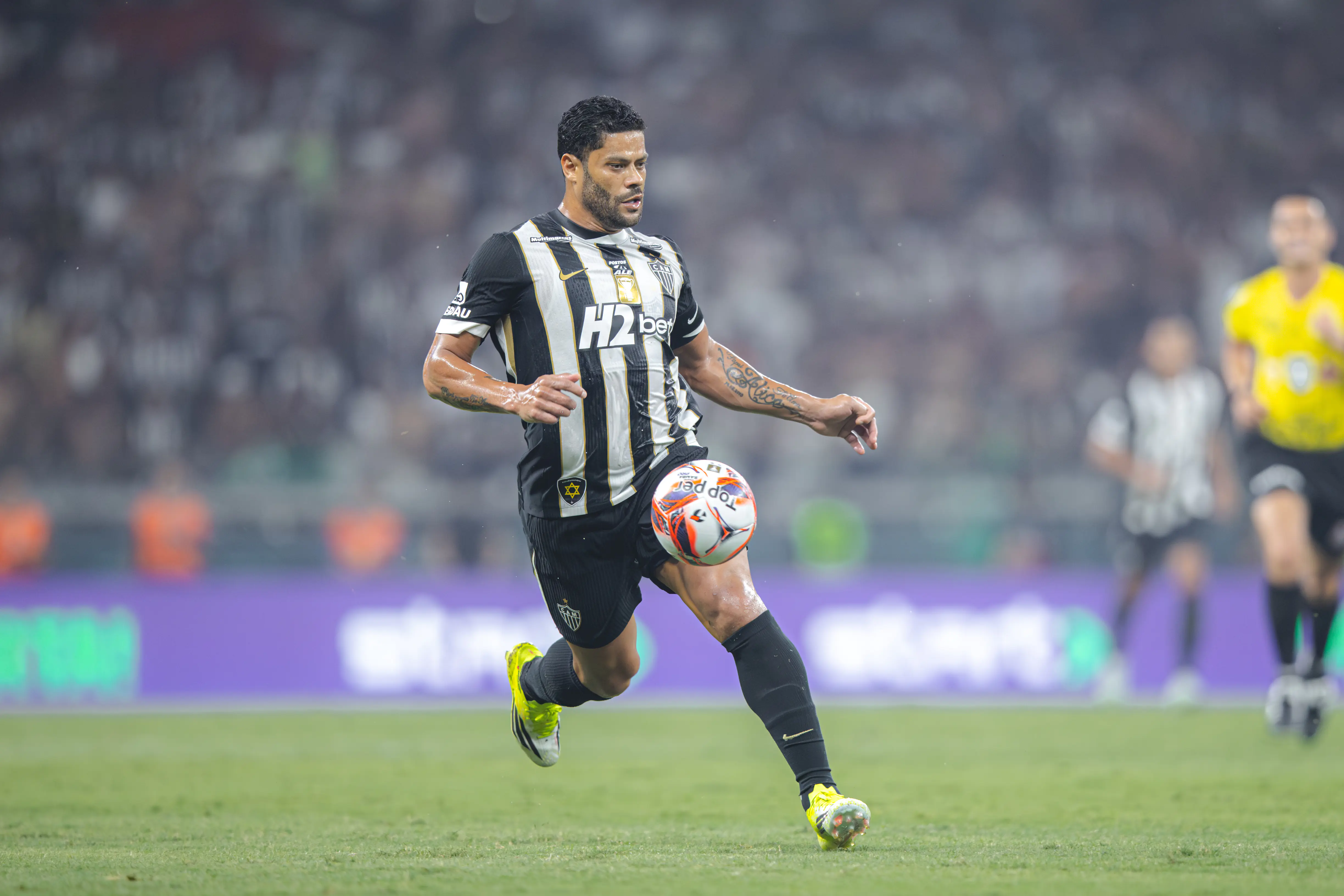 Imagem ilustrativa para a matéria