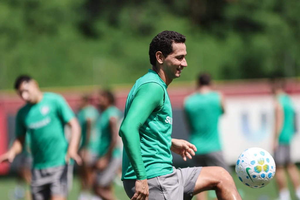 Imagem de capa representando a notícia: 