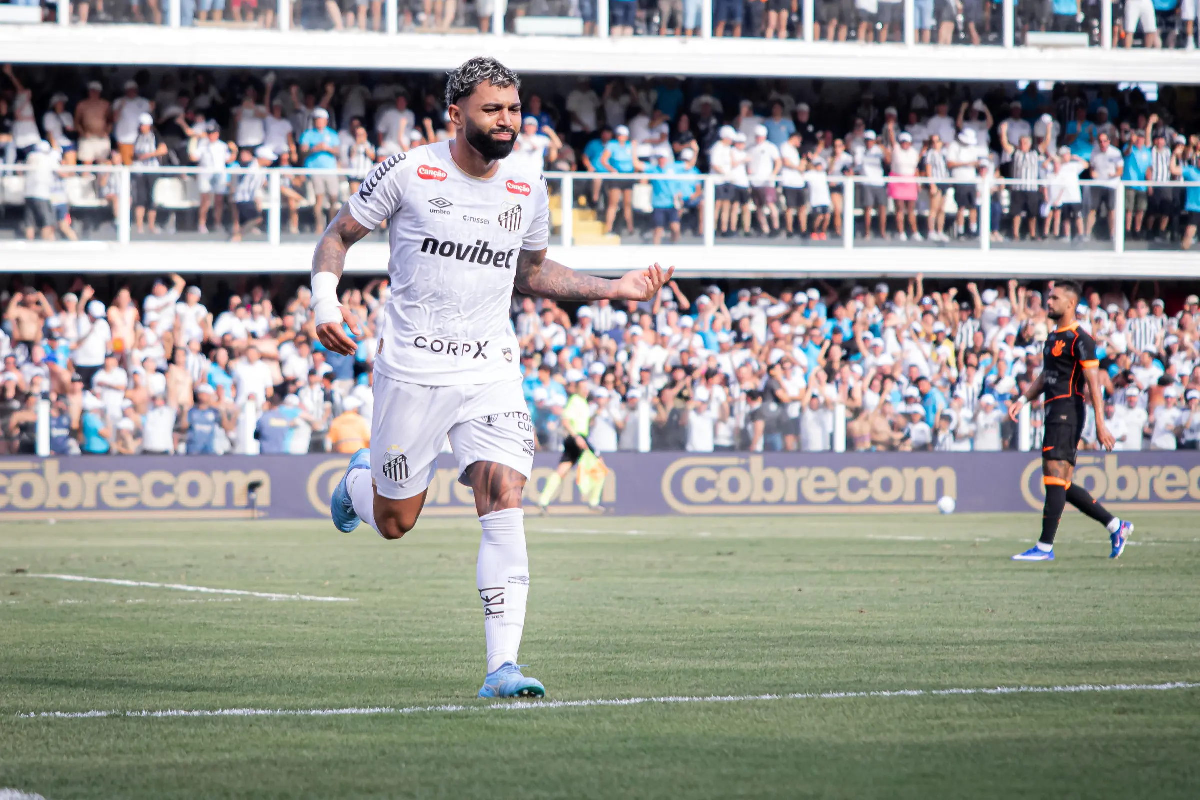 Imagem ilustrativa para a matéria