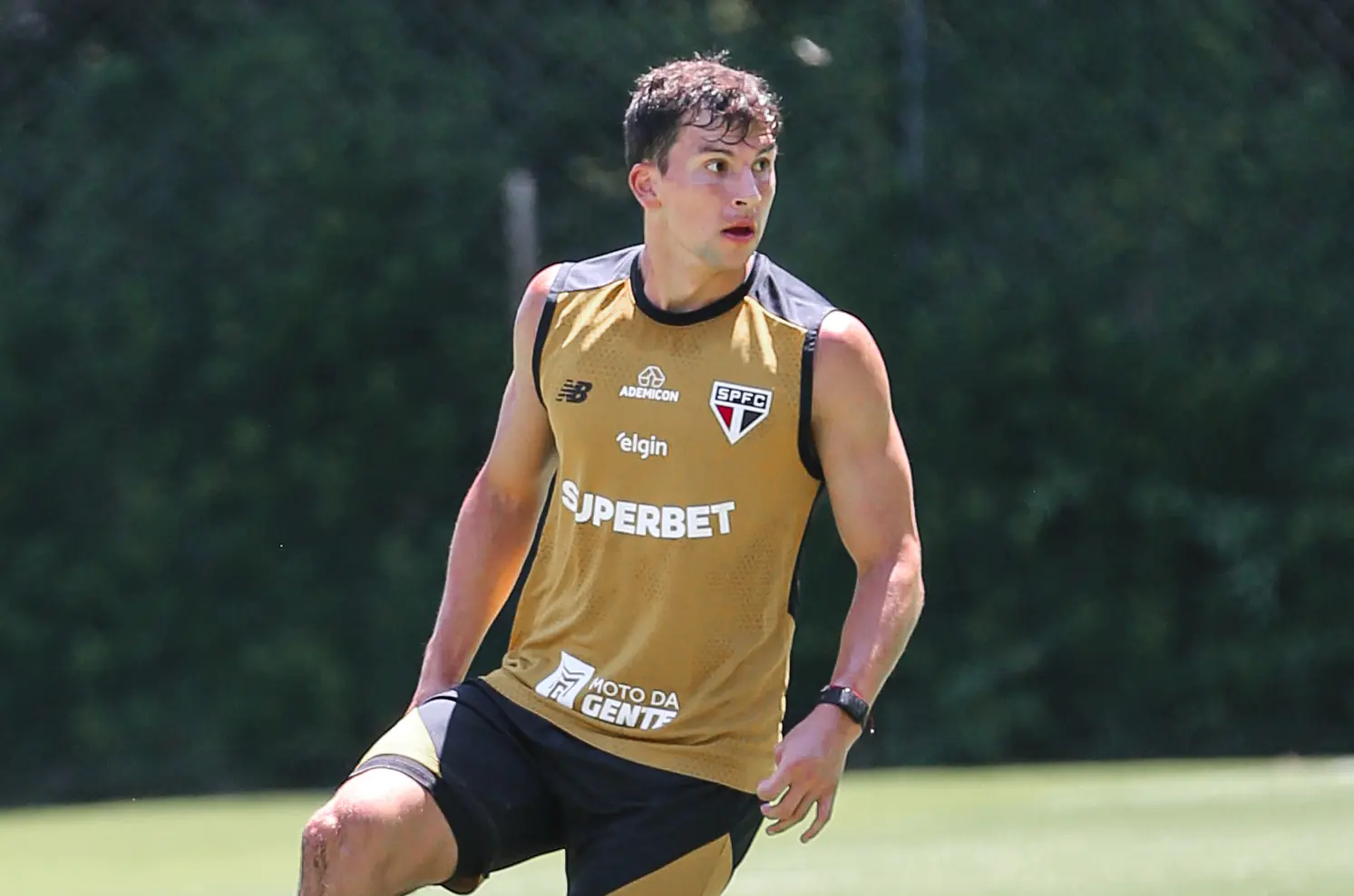 Imagem ilustrativa para a matéria