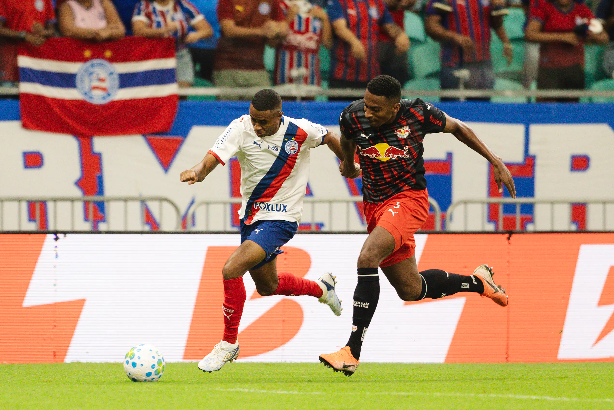 Imagem ilustrativa para a matéria