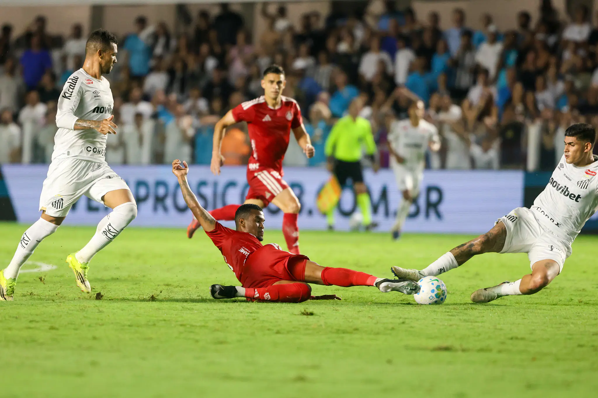 Imagem ilustrativa para a matéria