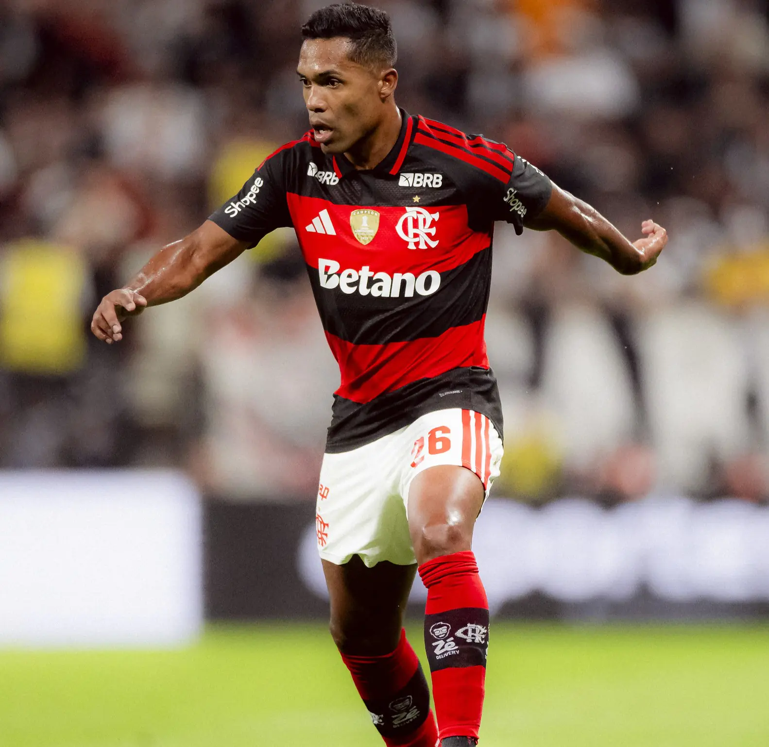 Imagem ilustrativa para a matéria