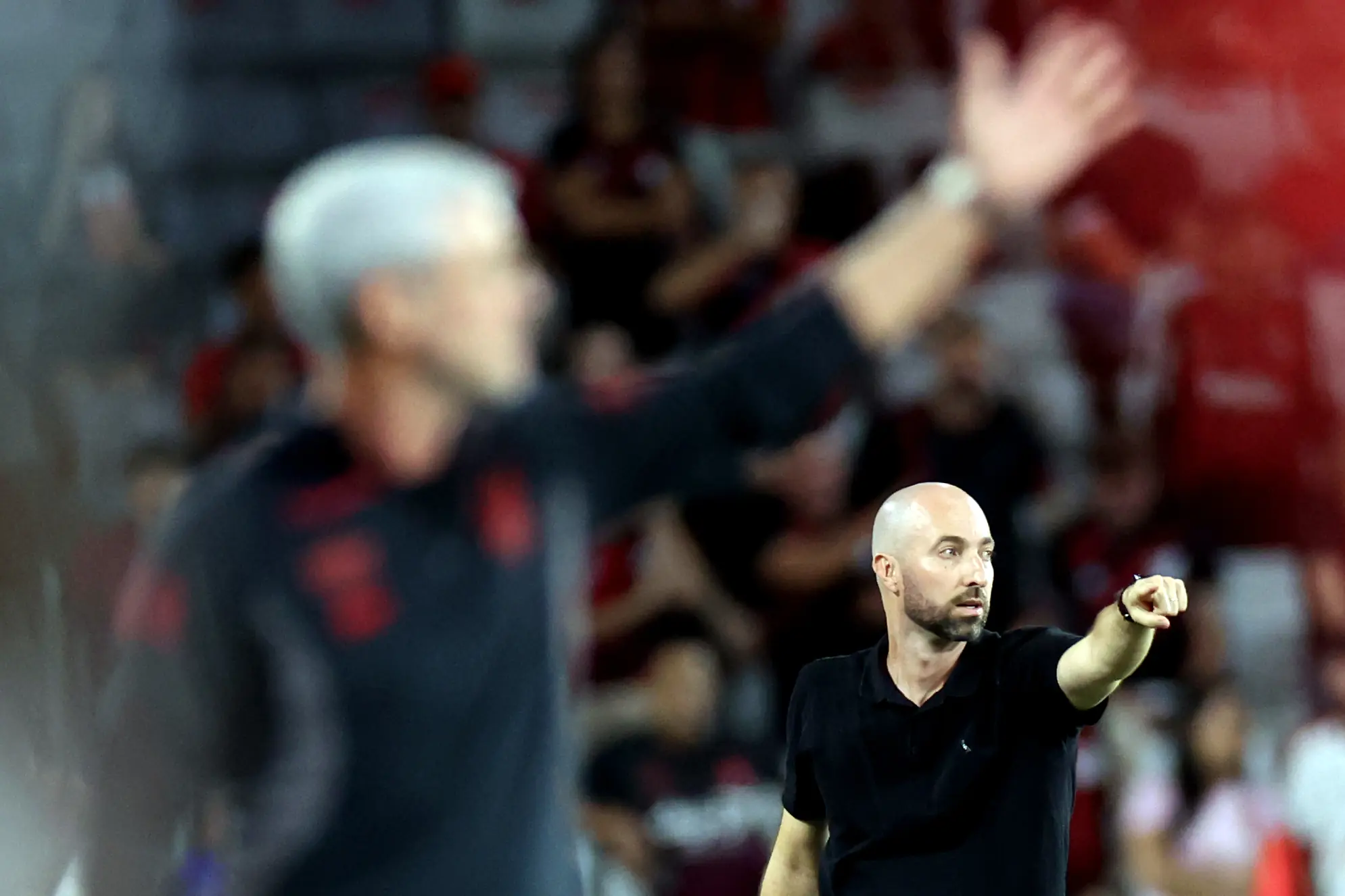 Imagem ilustrativa para a matéria