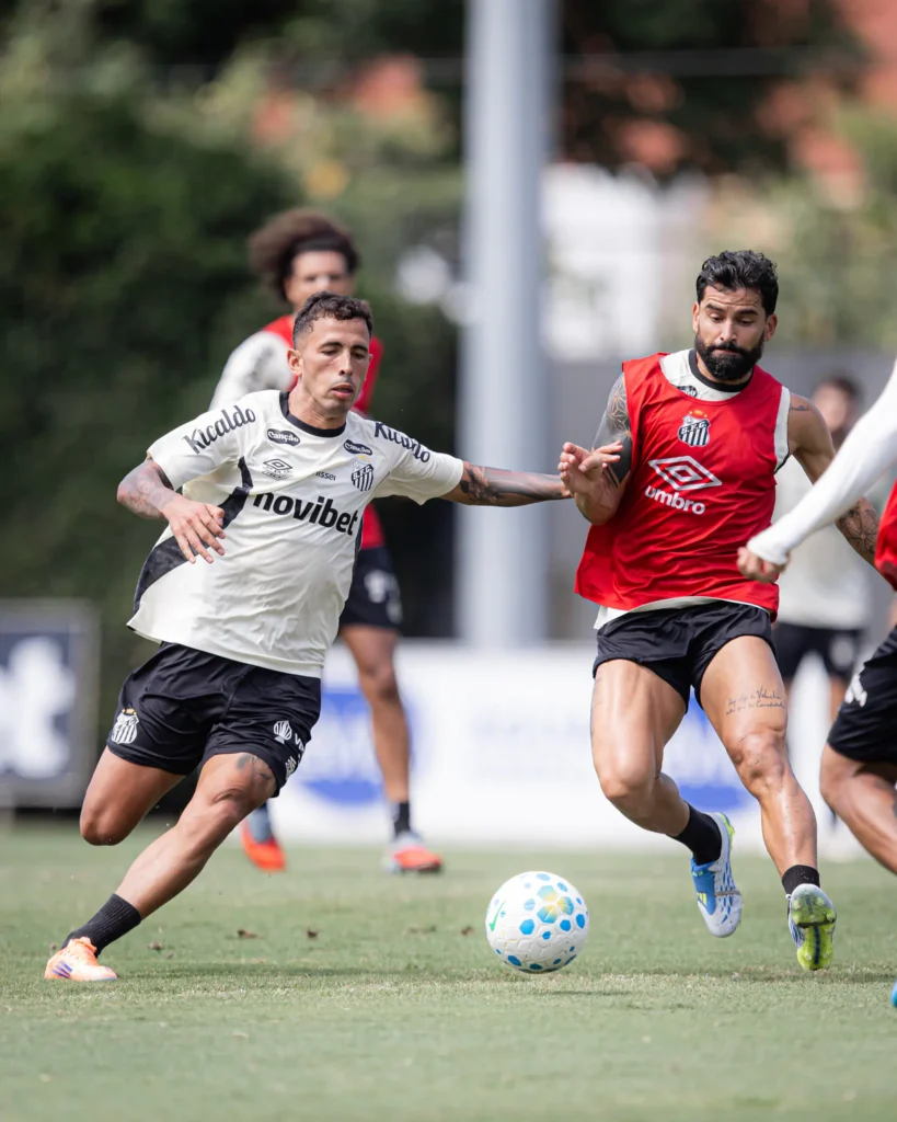 Imagem de capa representando a notícia: 