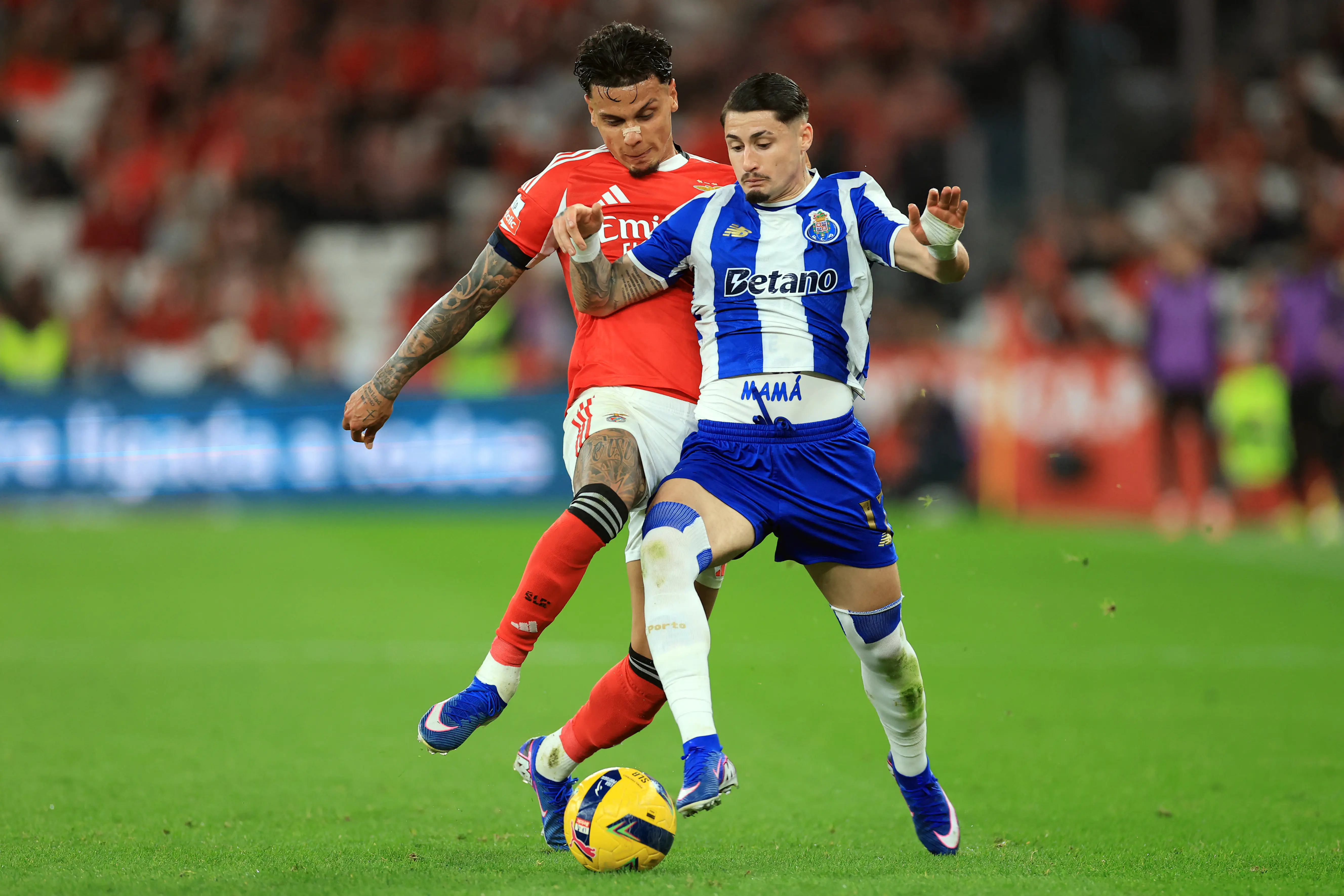 Imagem ilustrativa para a matéria