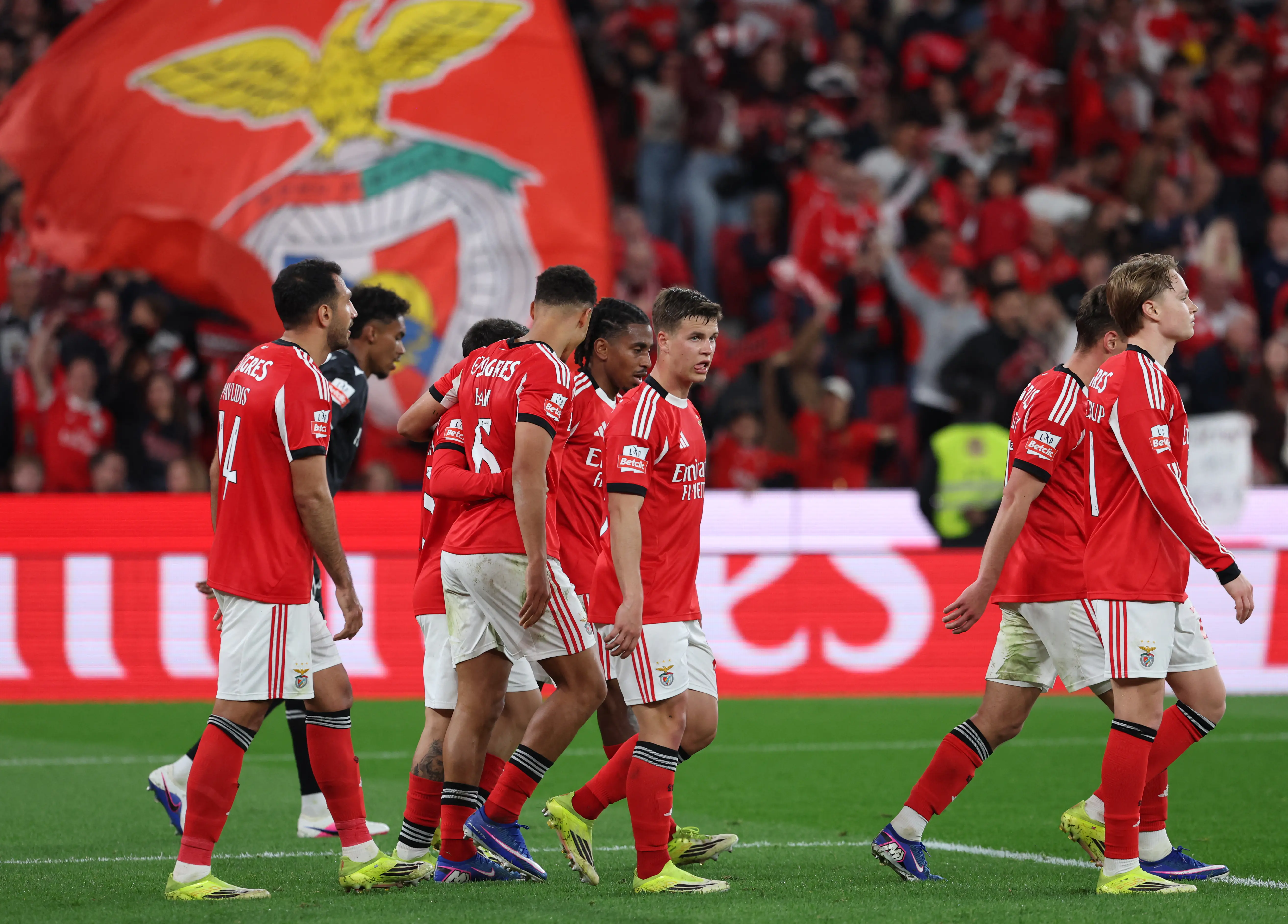 Imagem ilustrativa para a matéria