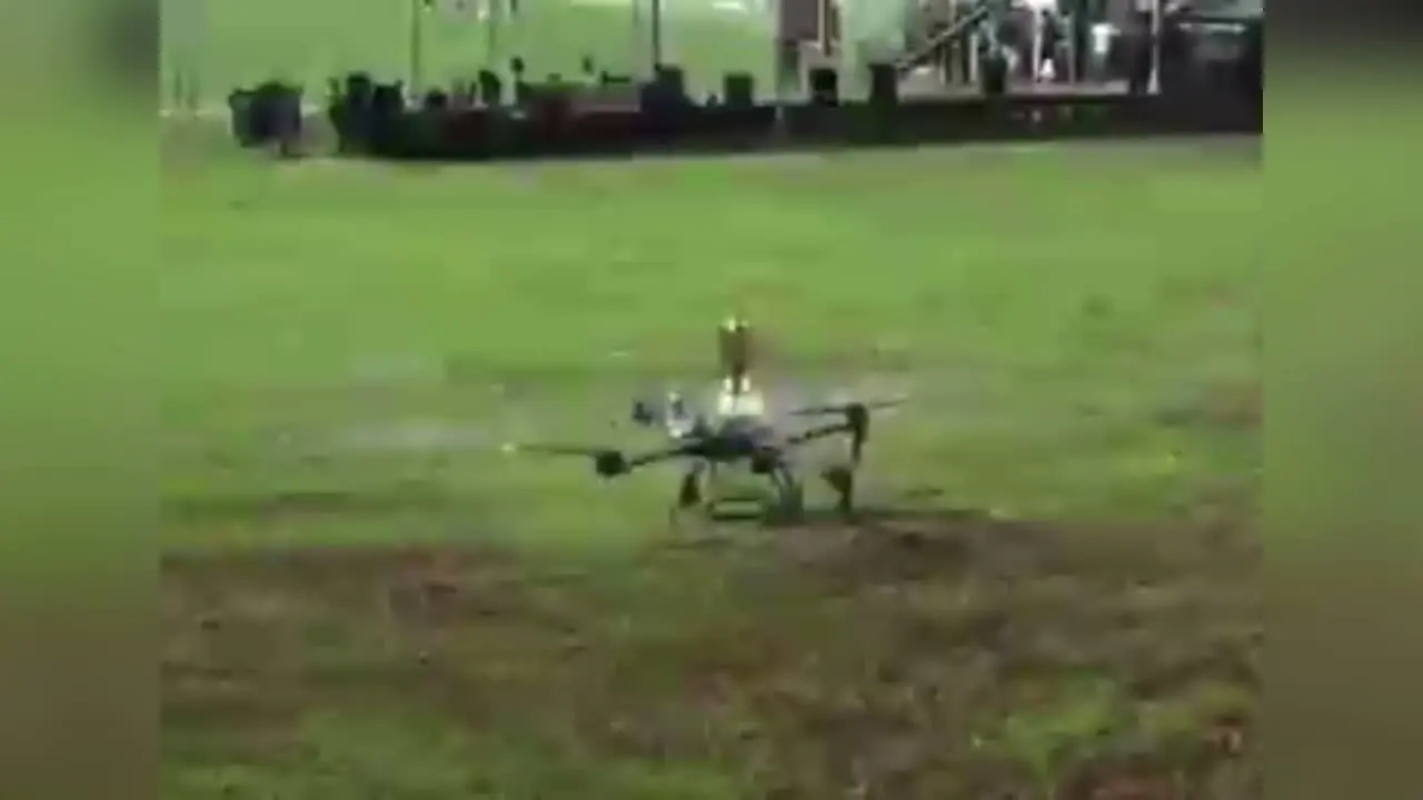 Imagem ilustrativa para a matéria