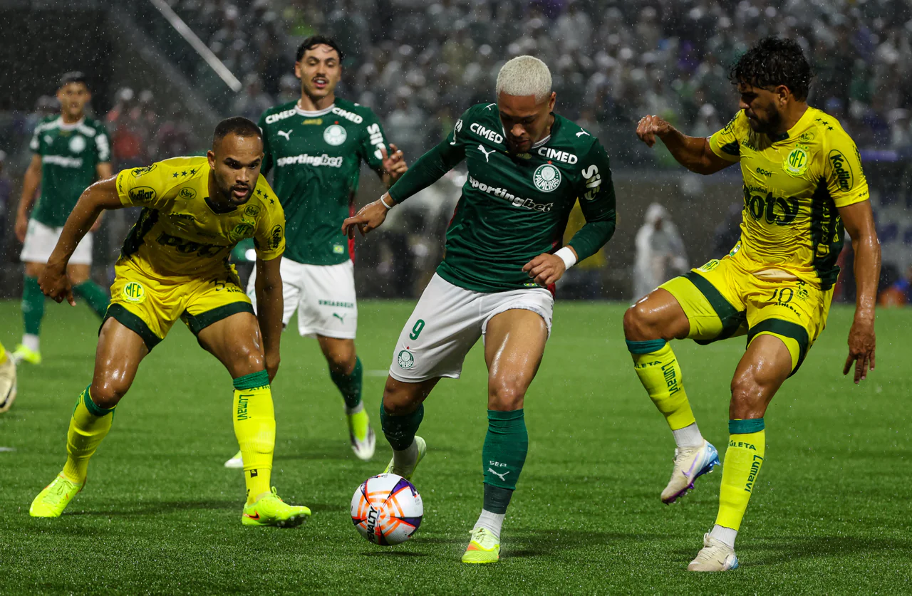 Imagem ilustrativa para a matéria