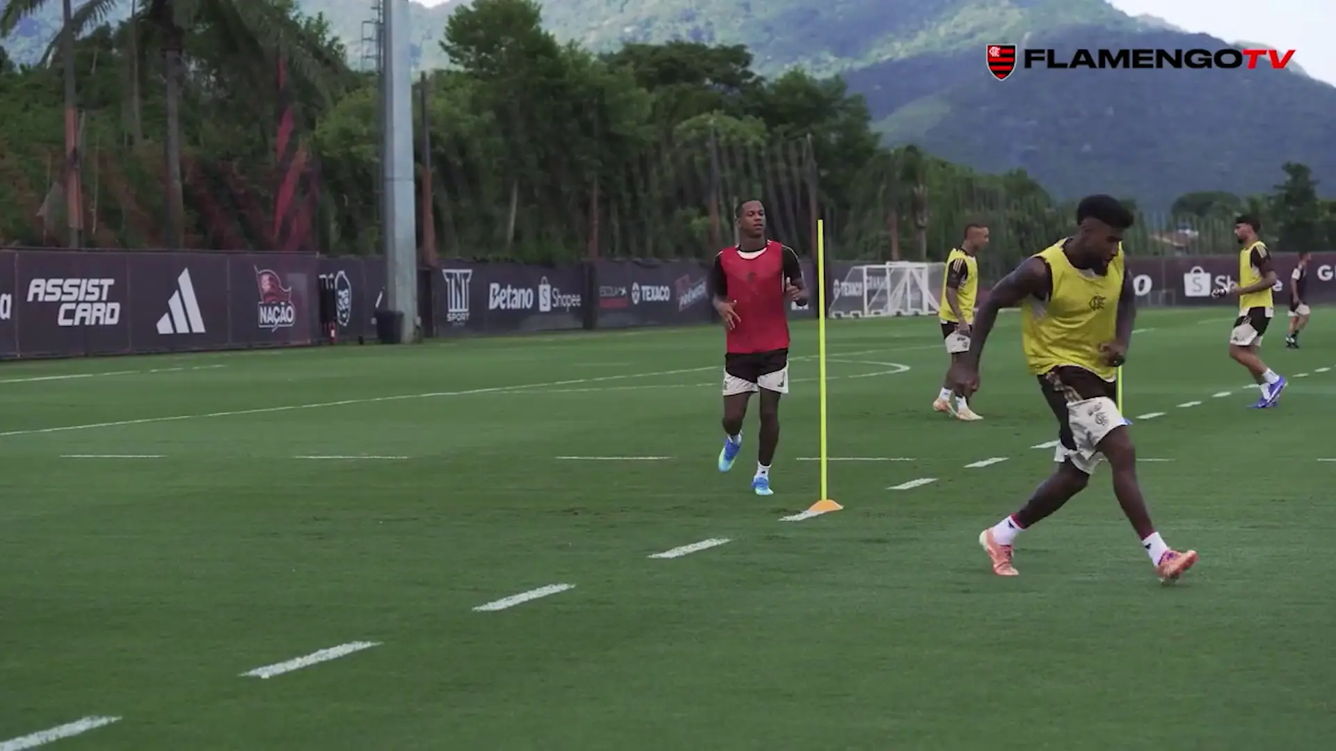 Imagem ilustrativa para a matéria