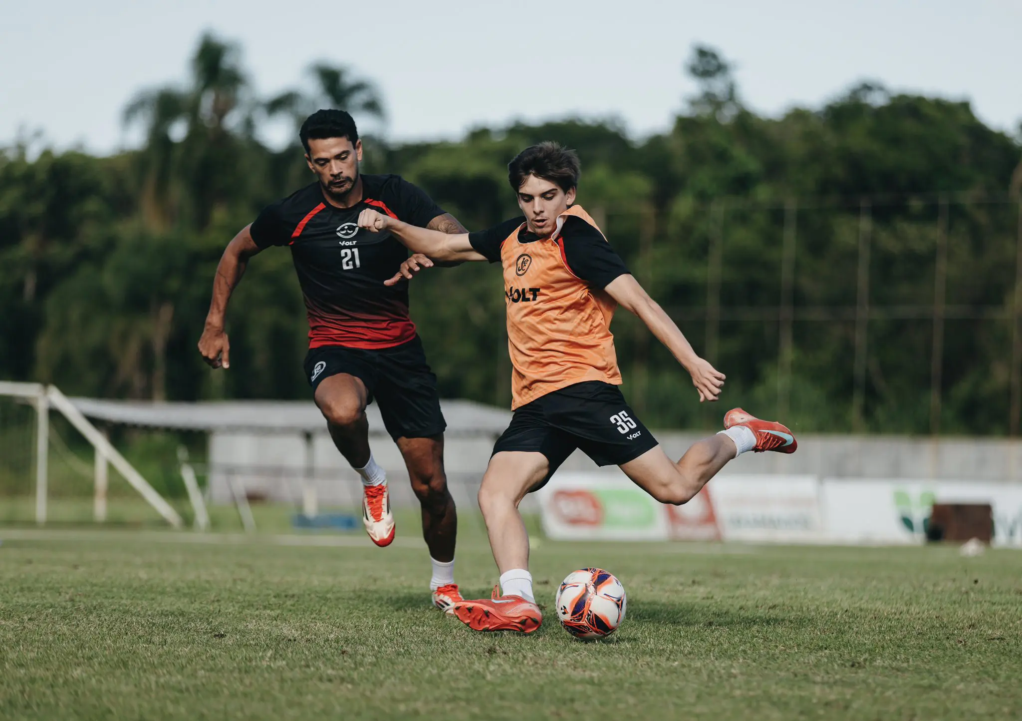 Imagem ilustrativa para a matéria