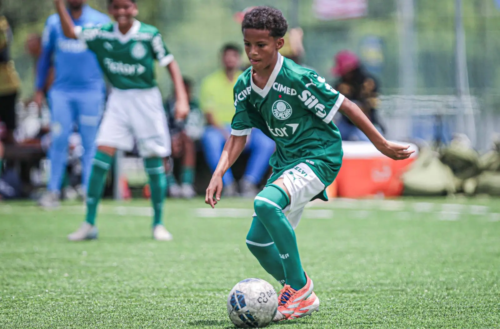 Imagem ilustrativa para a matéria