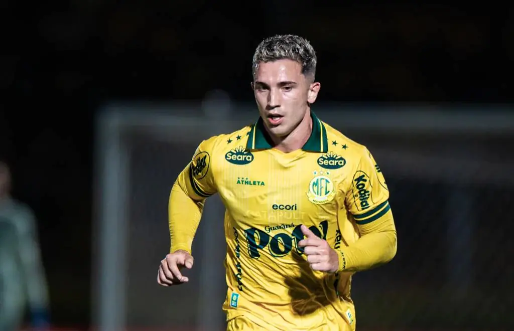 Imagem ilustrativa para a matéria