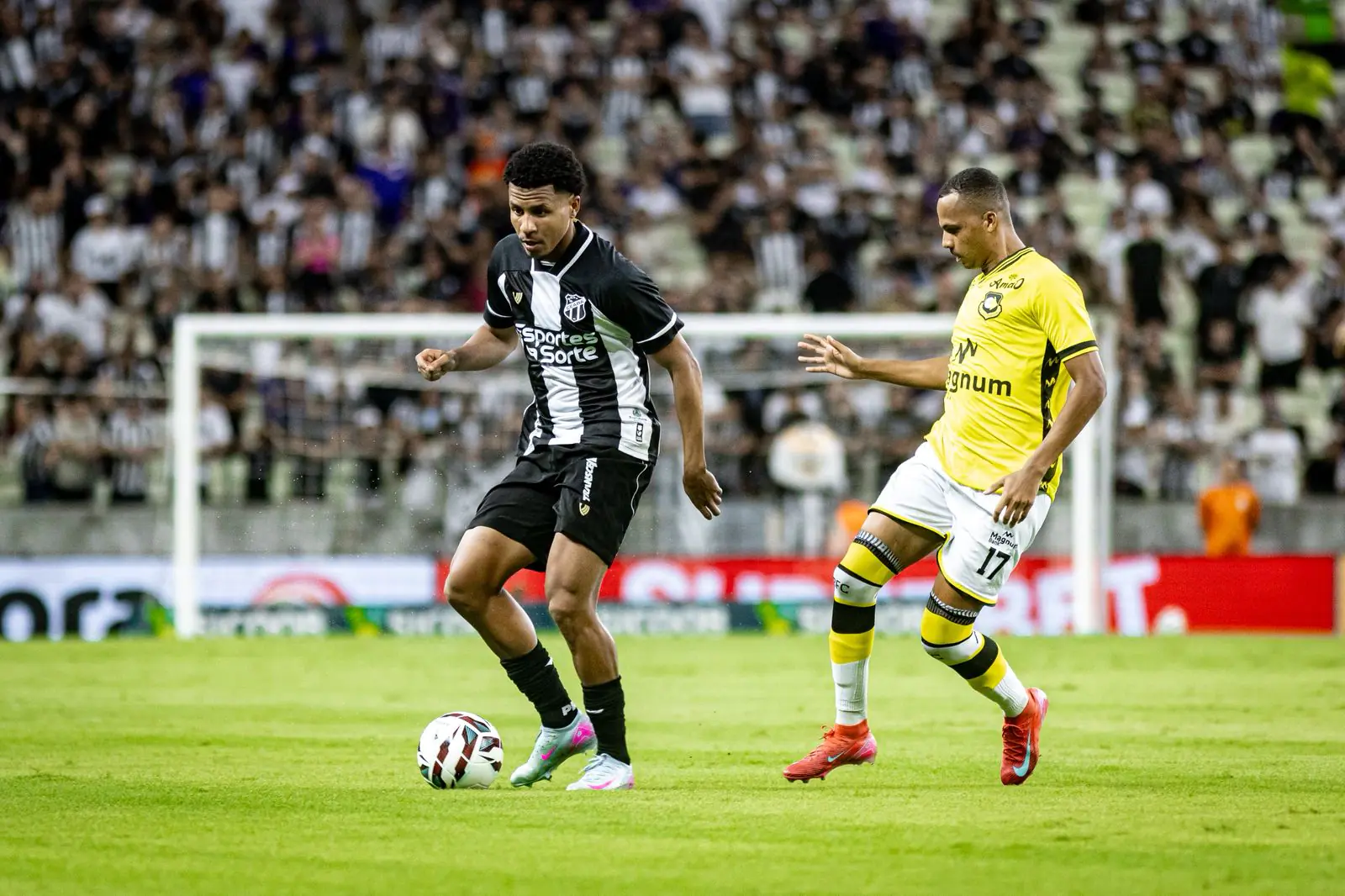 Imagem ilustrativa para a matéria