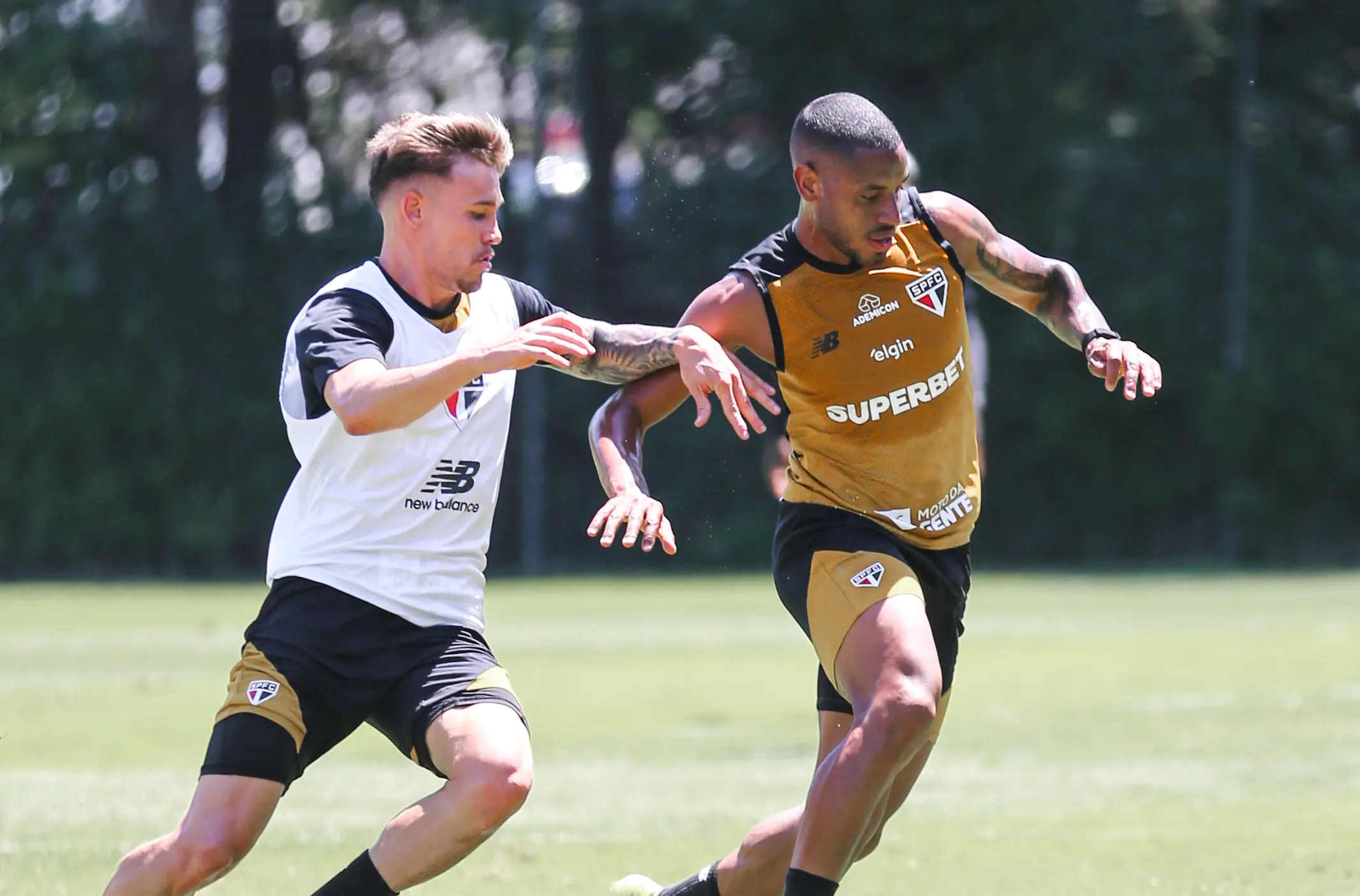 Imagem ilustrativa para a matéria