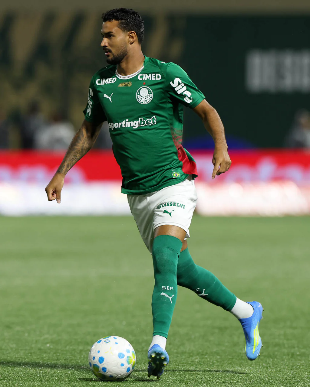 Imagem ilustrativa para a matéria