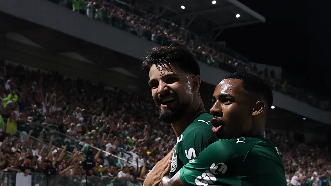 Imagem ilustrativa para a matéria