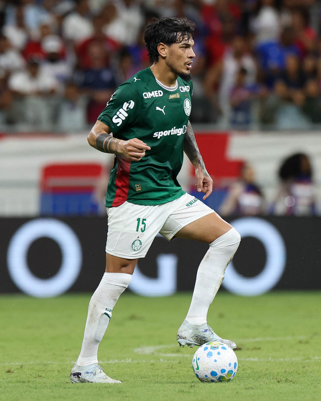 Palmeiras Conta com Remanescente do Último Confronto contra o Junior em Nova Temporada