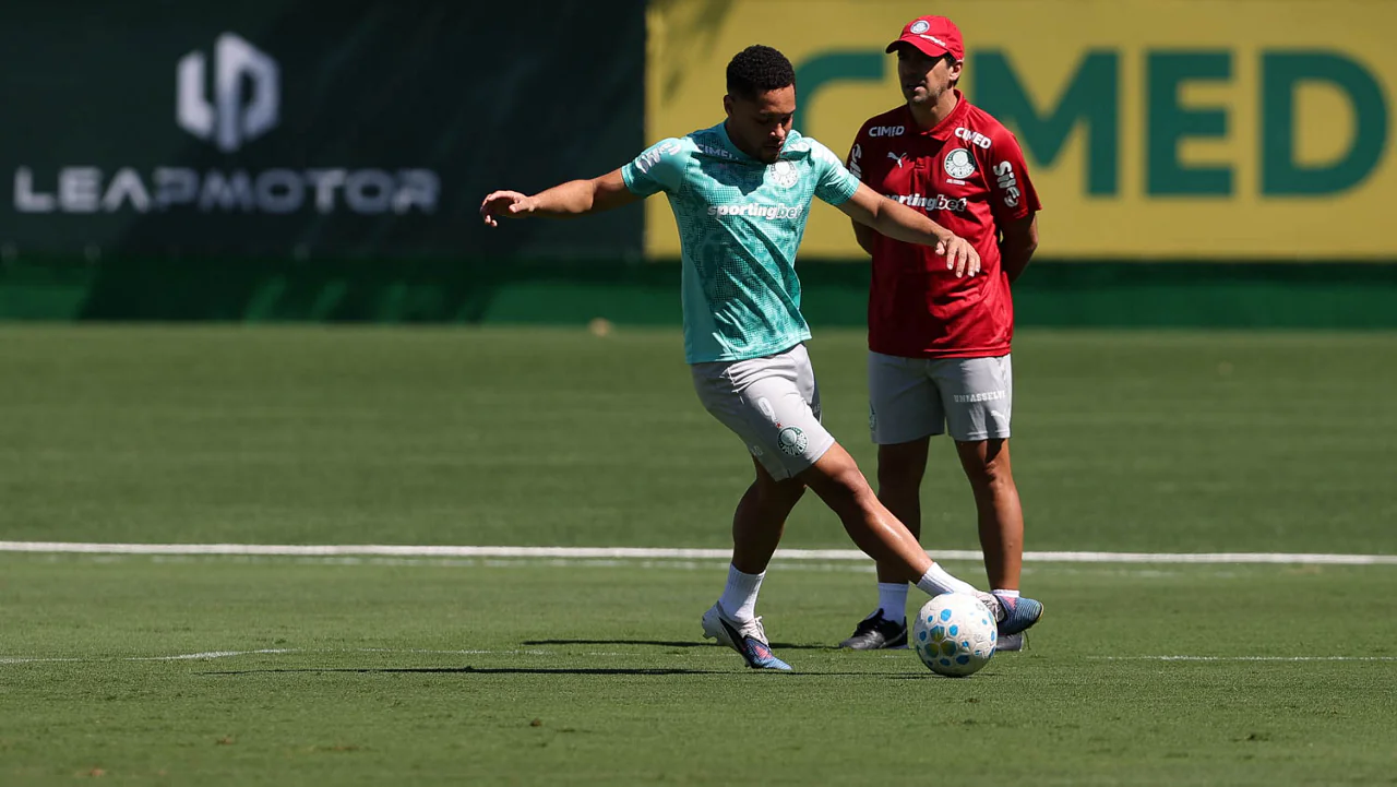 Imagem ilustrativa para a matéria