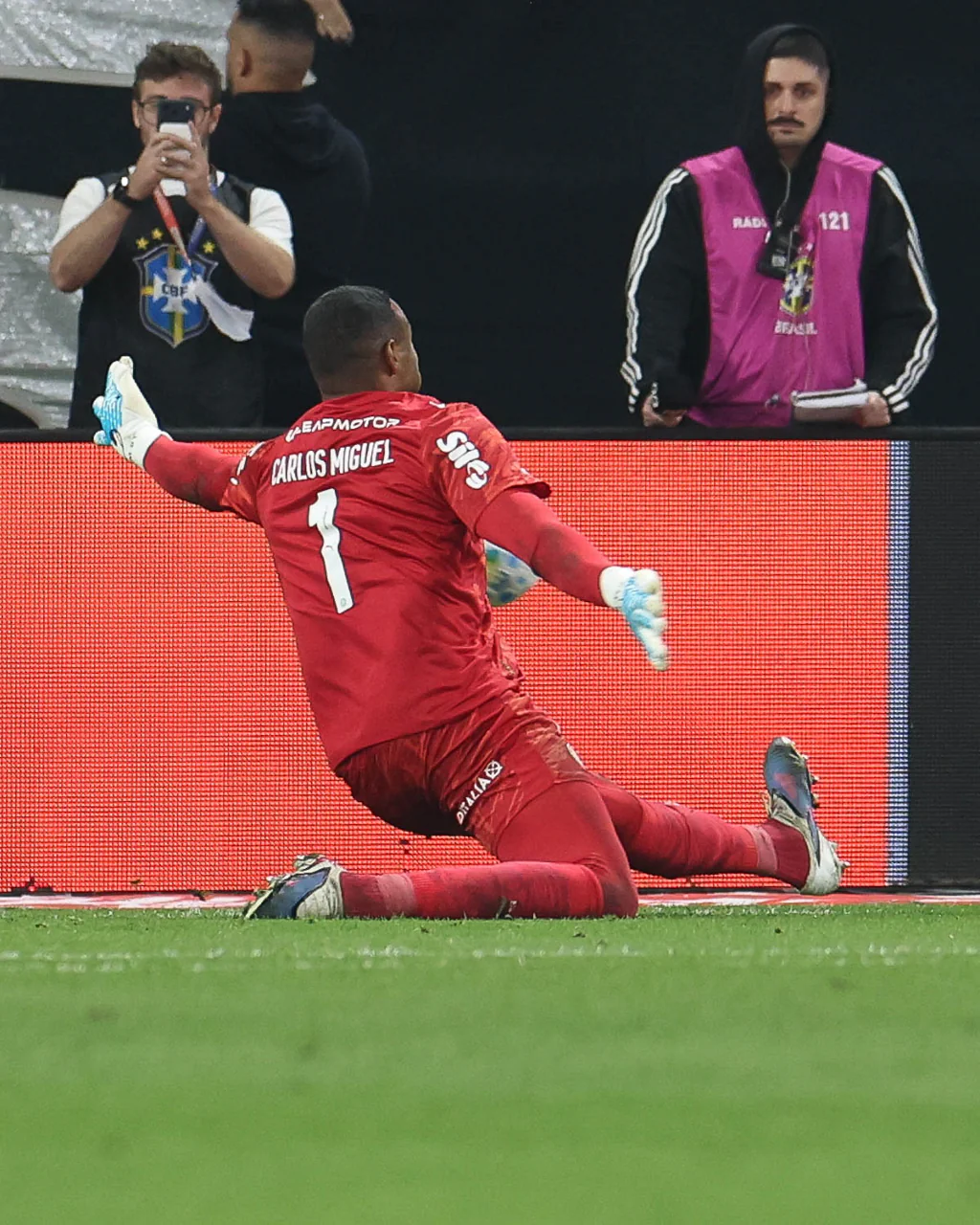 image para ilustrar o artigo