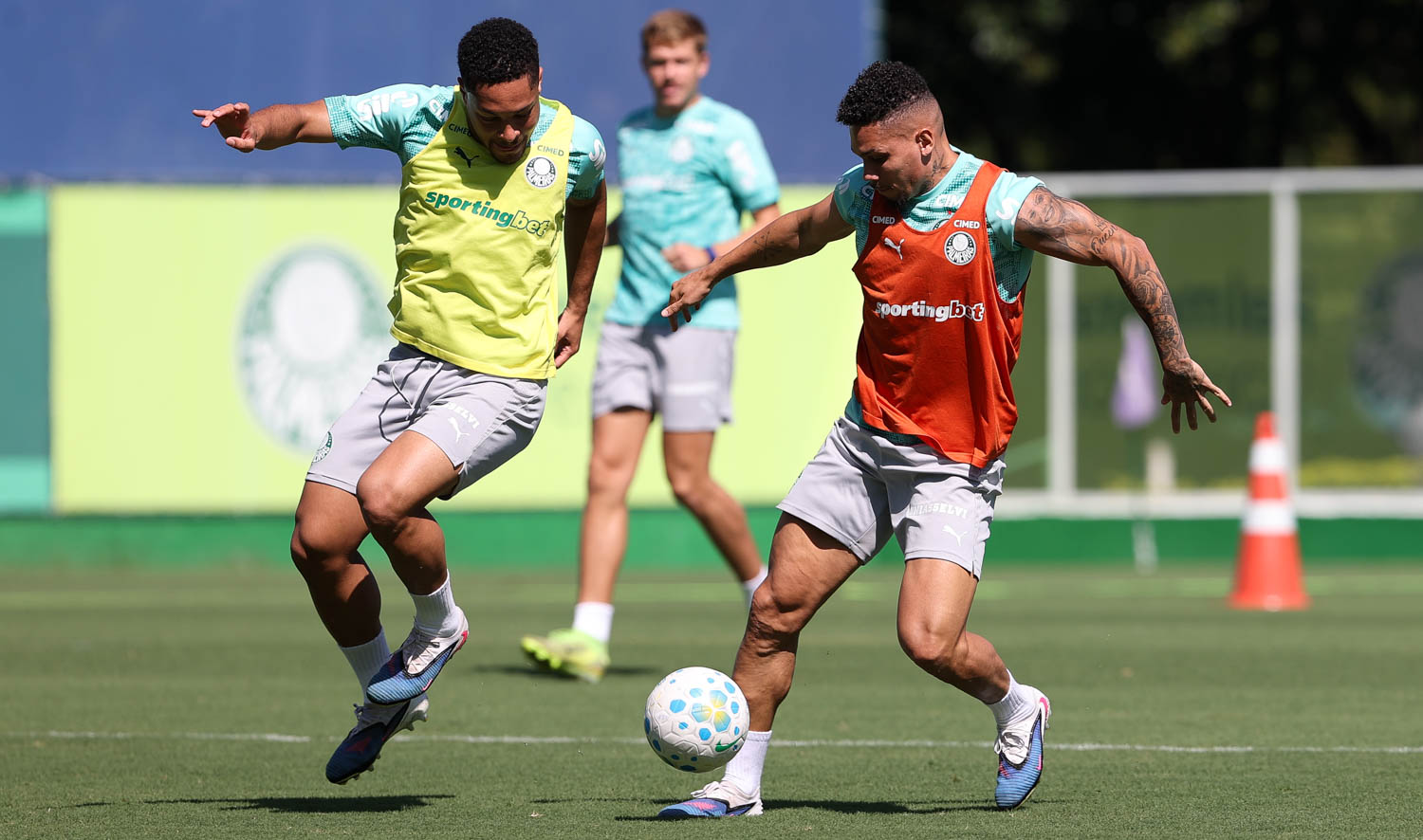 Palmeiras vira a chave para a Copa do Brasil após consolidar liderança no Brasileirão