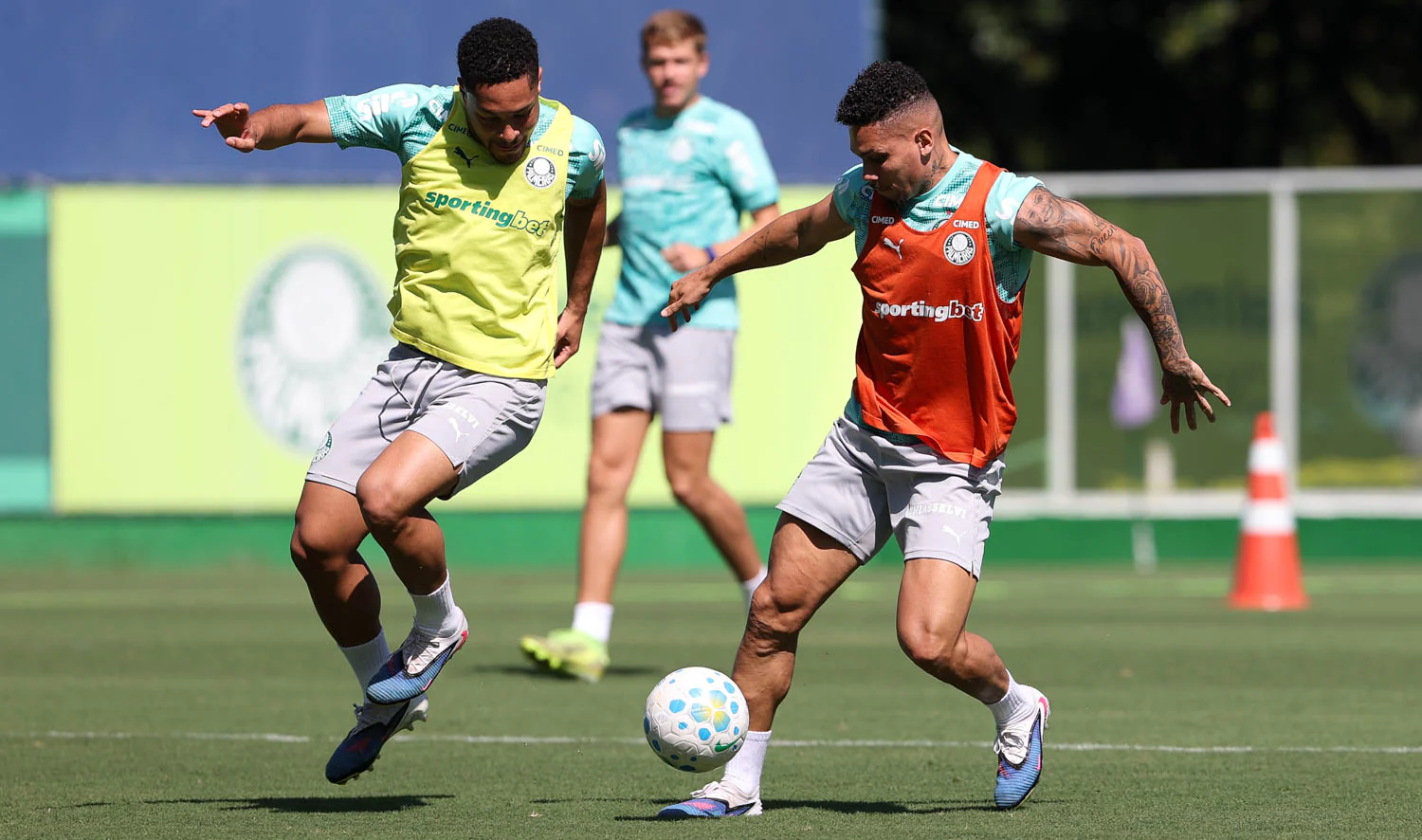 Imagem ilustrativa para a matéria