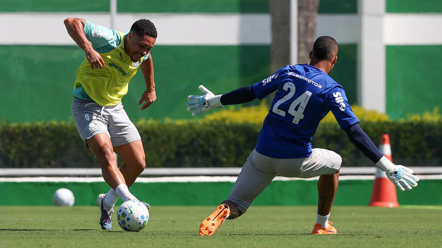 Imagem ilustrativa para a matéria