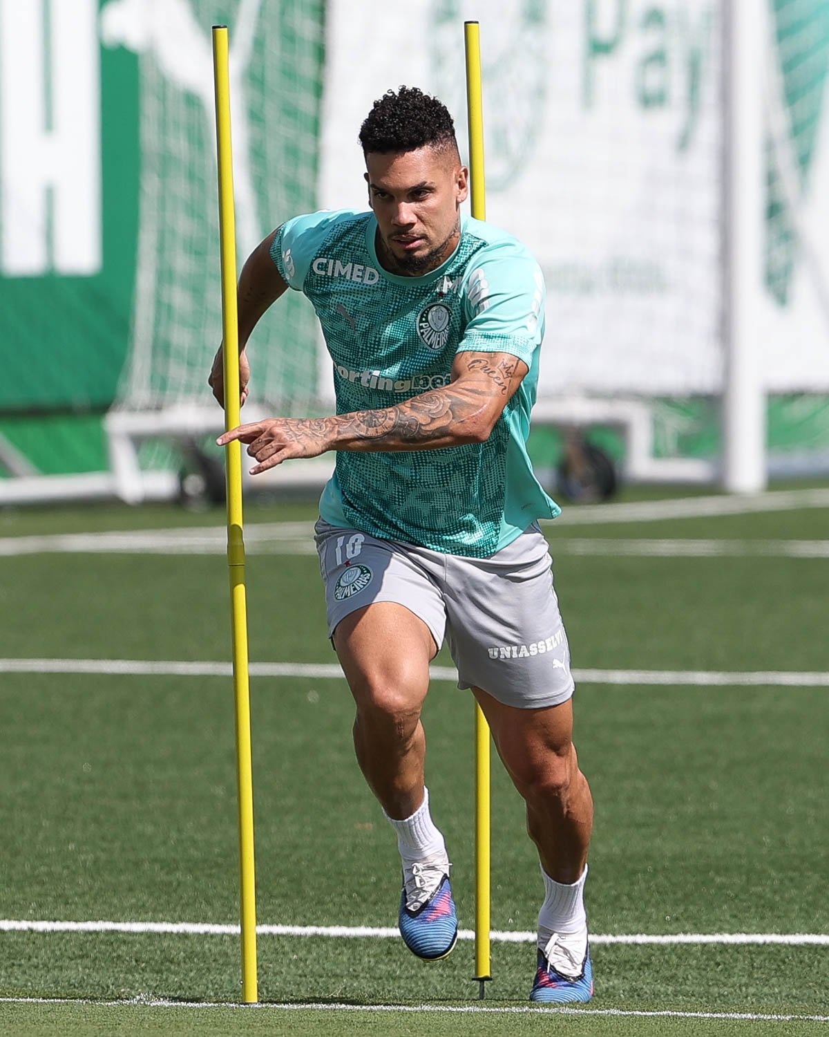 Palmeiras Prioriza Segurança e Escalona Paulinho para o Próximo Jogo contra Jacuipense