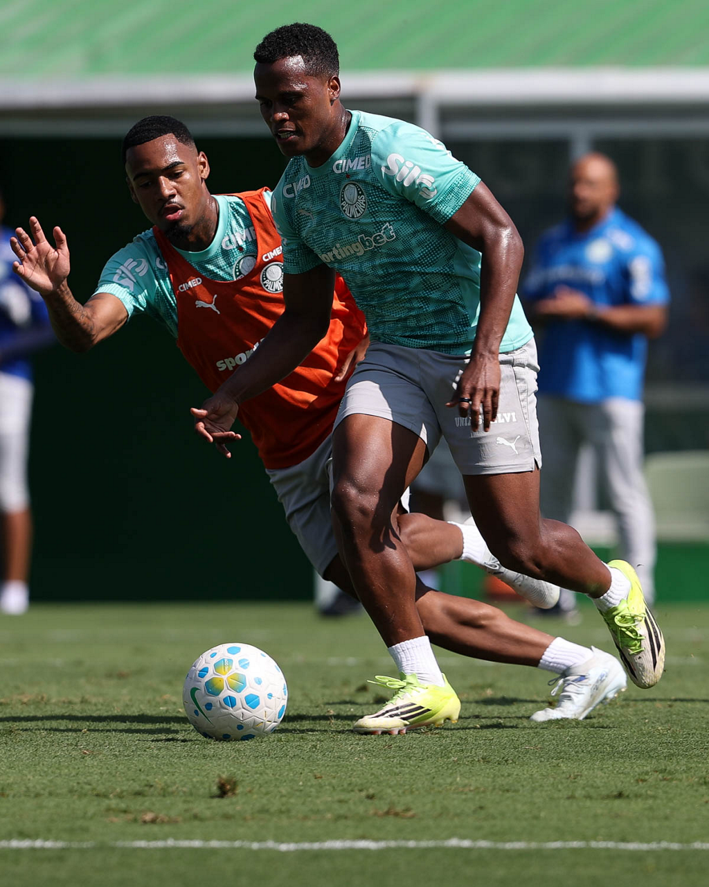 Palmeiras vira a chave para o Brasileirão após goleada na Copa do Brasil e se prepara para decisão
