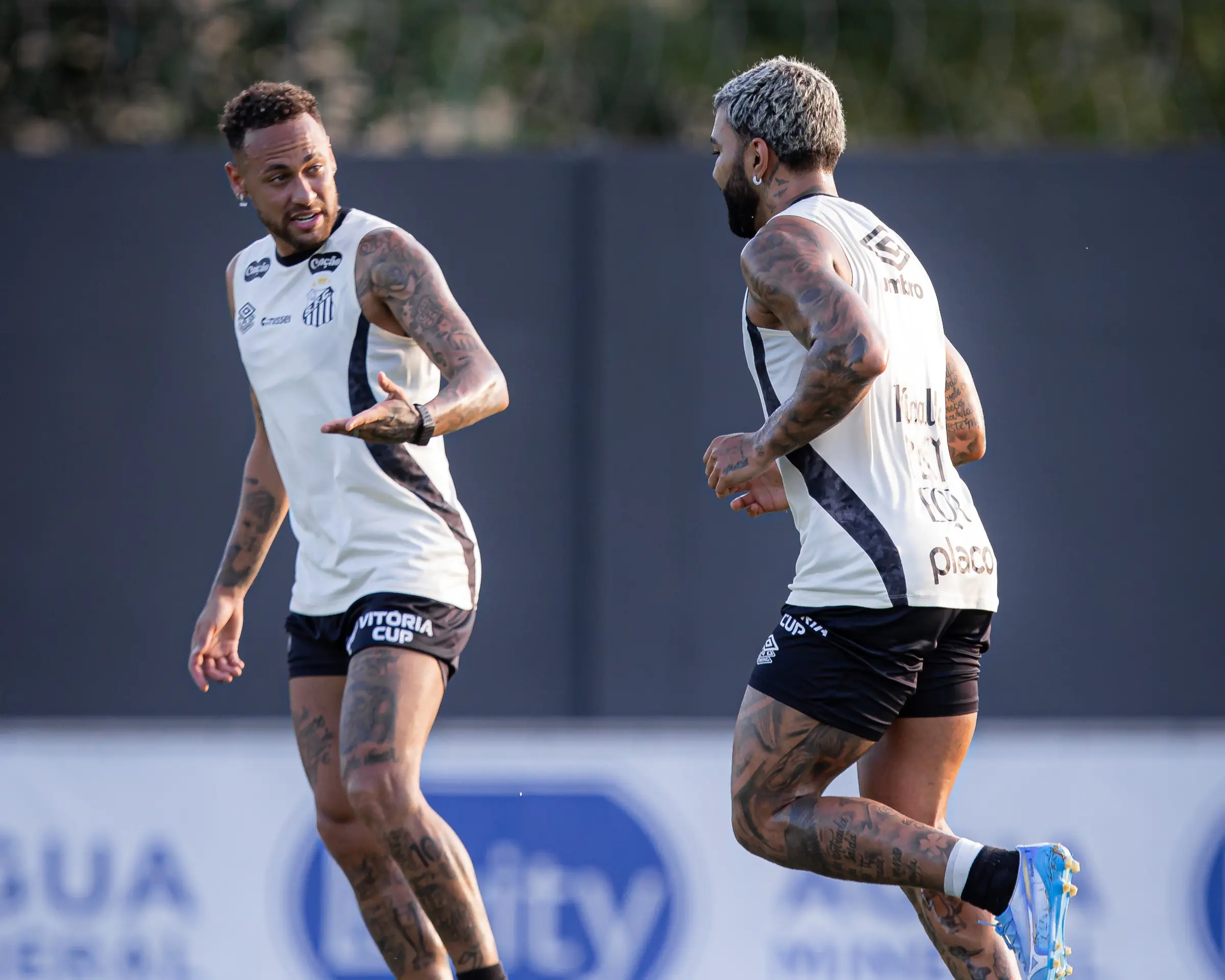 Imagem ilustrativa para a matéria