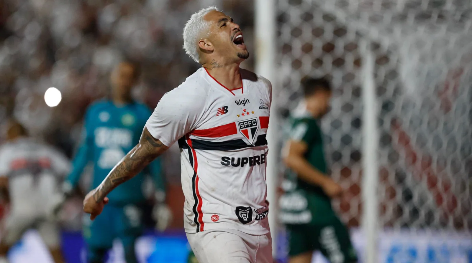 Imagem ilustrativa para a matéria