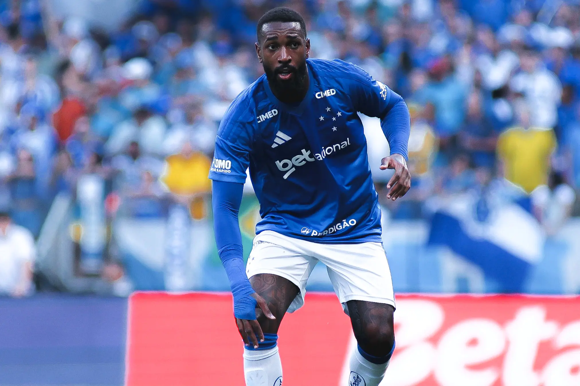 Imagem ilustrativa para a matéria