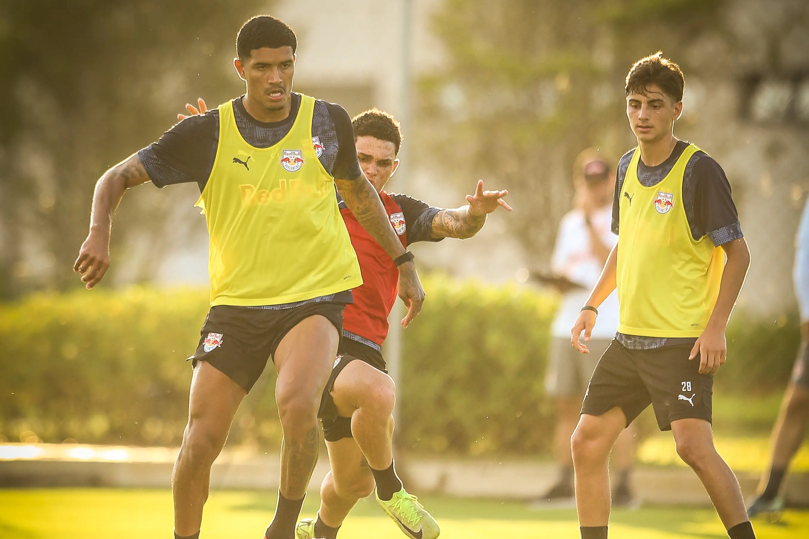 Imagem ilustrativa para a matéria