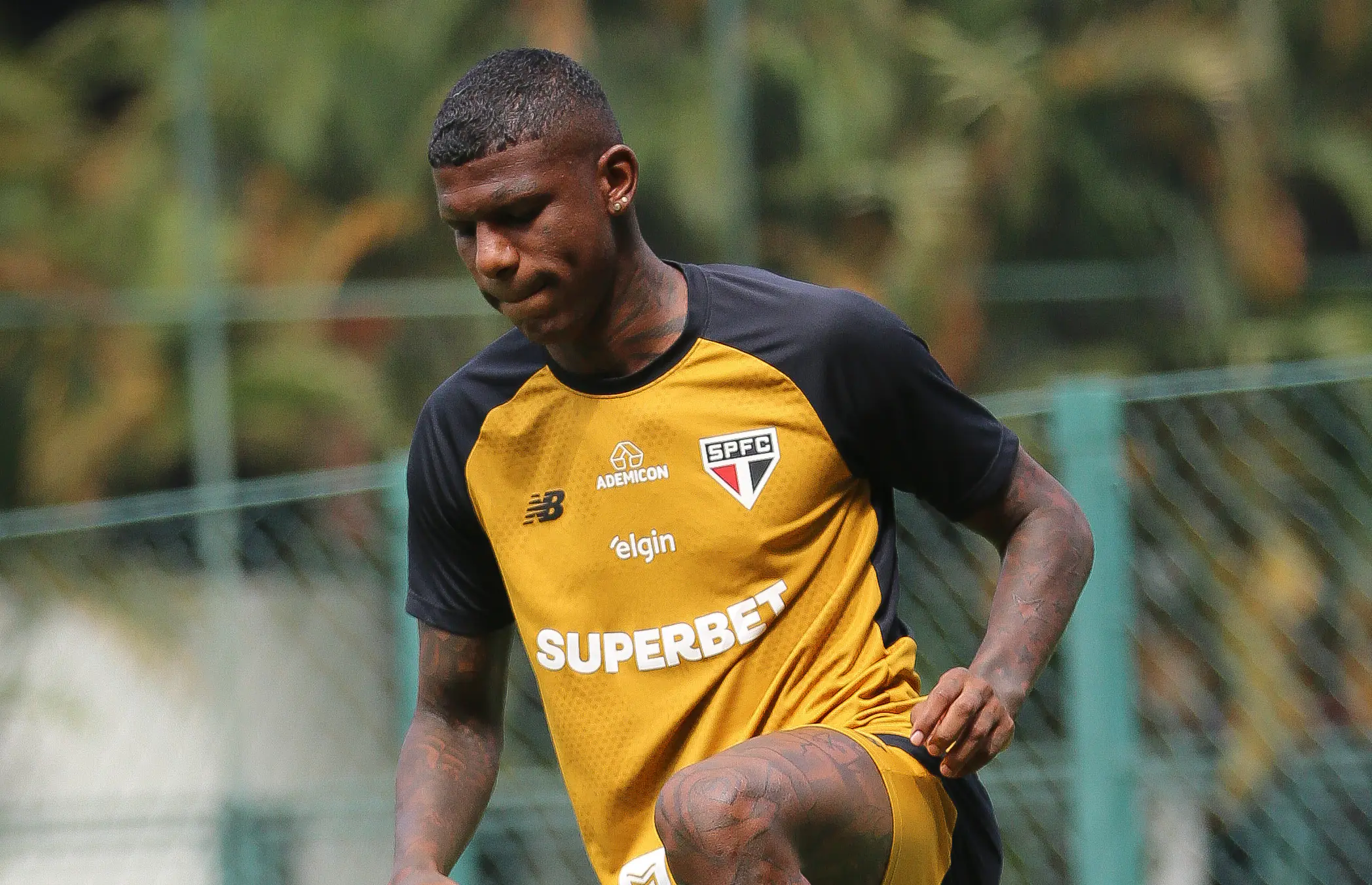 Imagem ilustrativa para a matéria