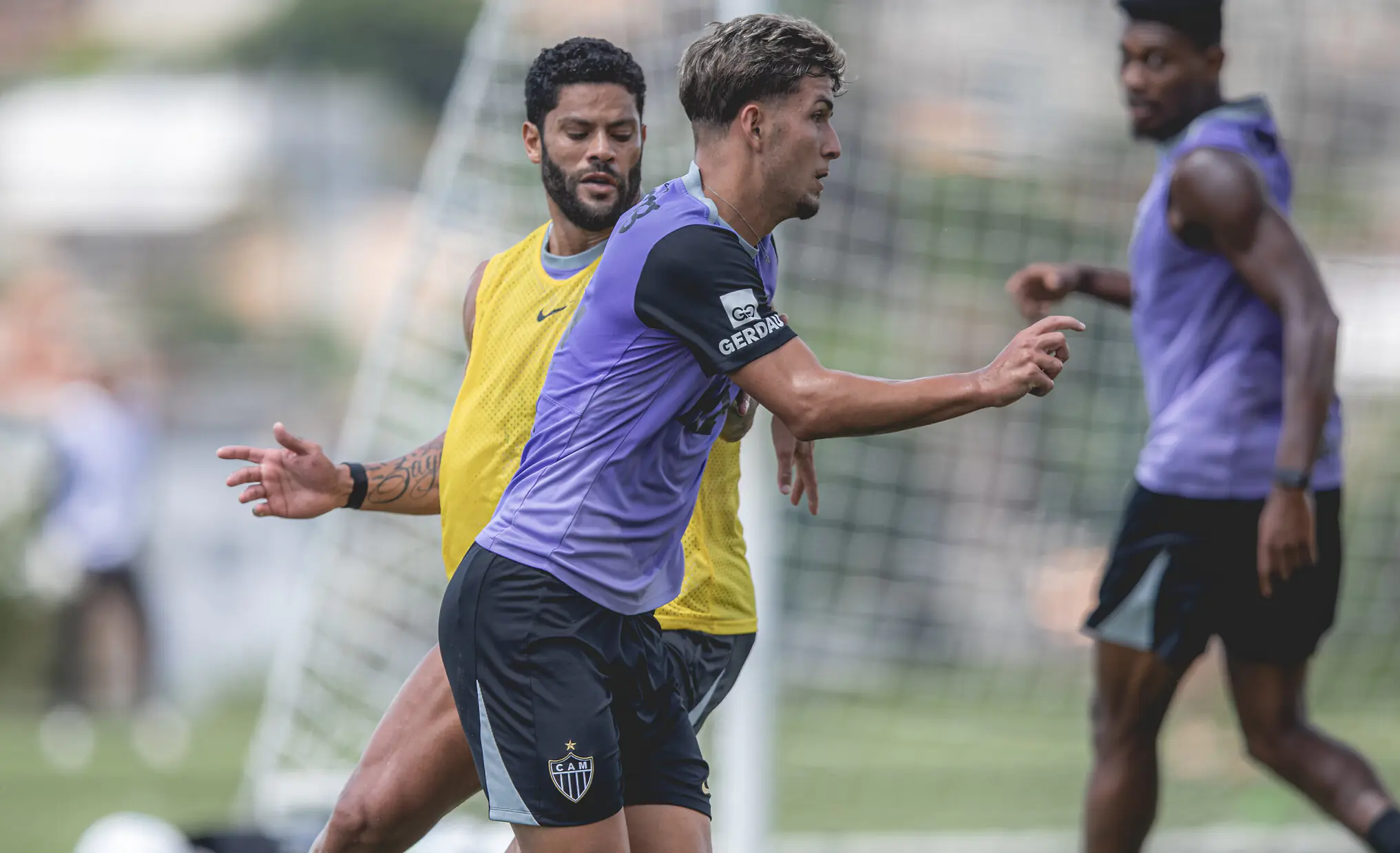 Imagem ilustrativa para a matéria