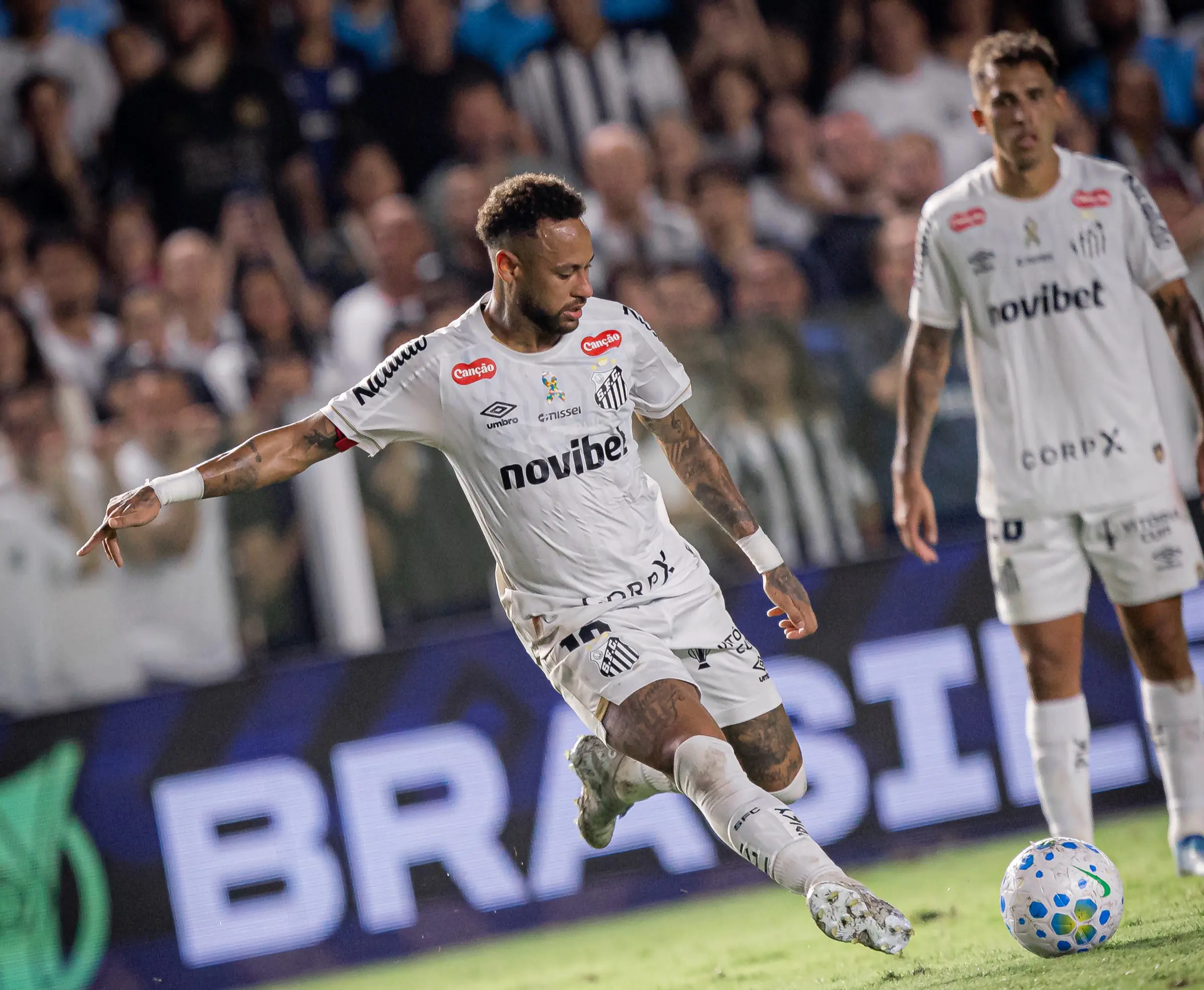 Imagem ilustrativa para a matéria