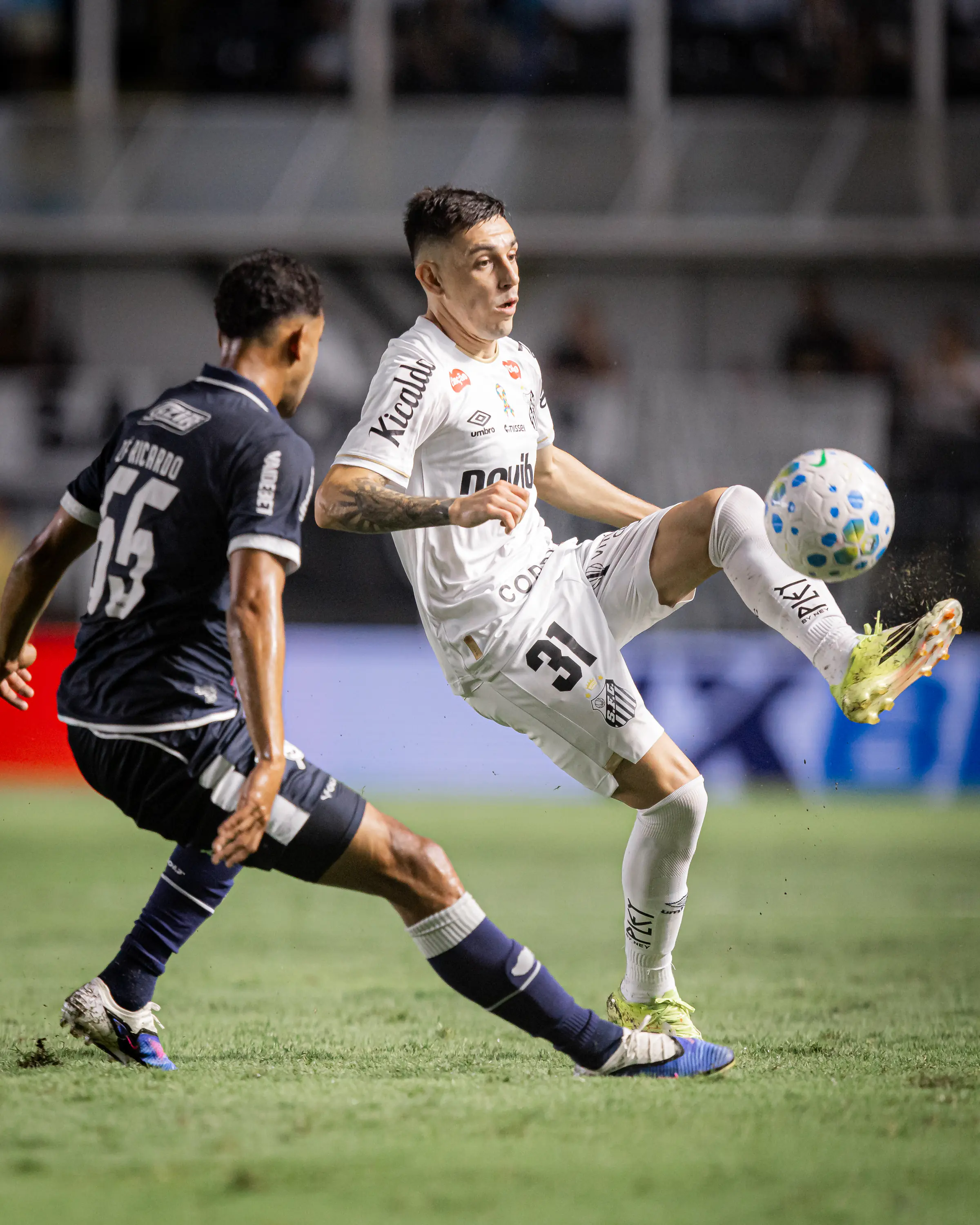 Imagem ilustrativa para a matéria