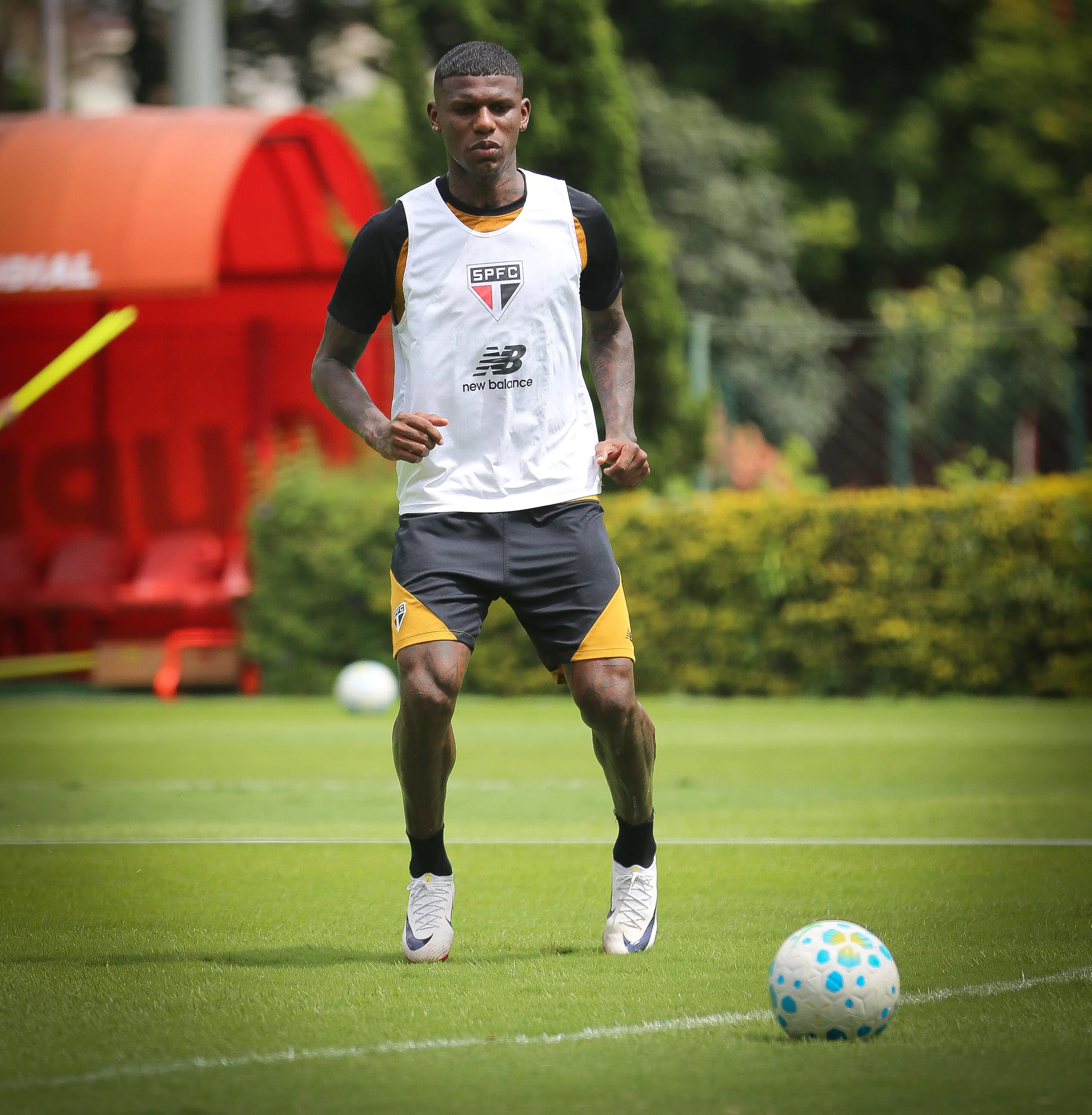 Imagem ilustrativa para a matéria