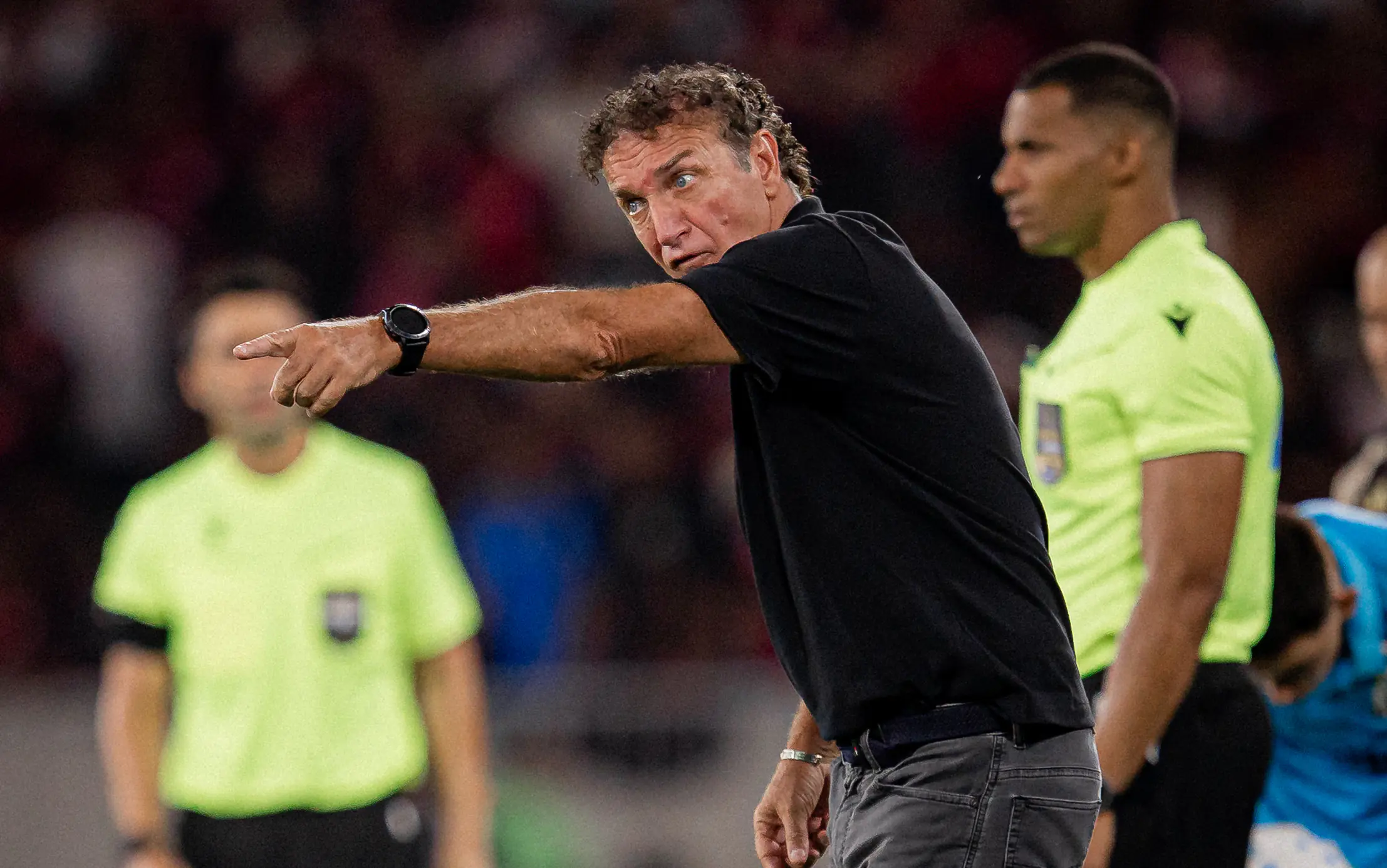 Imagem ilustrativa para a matéria