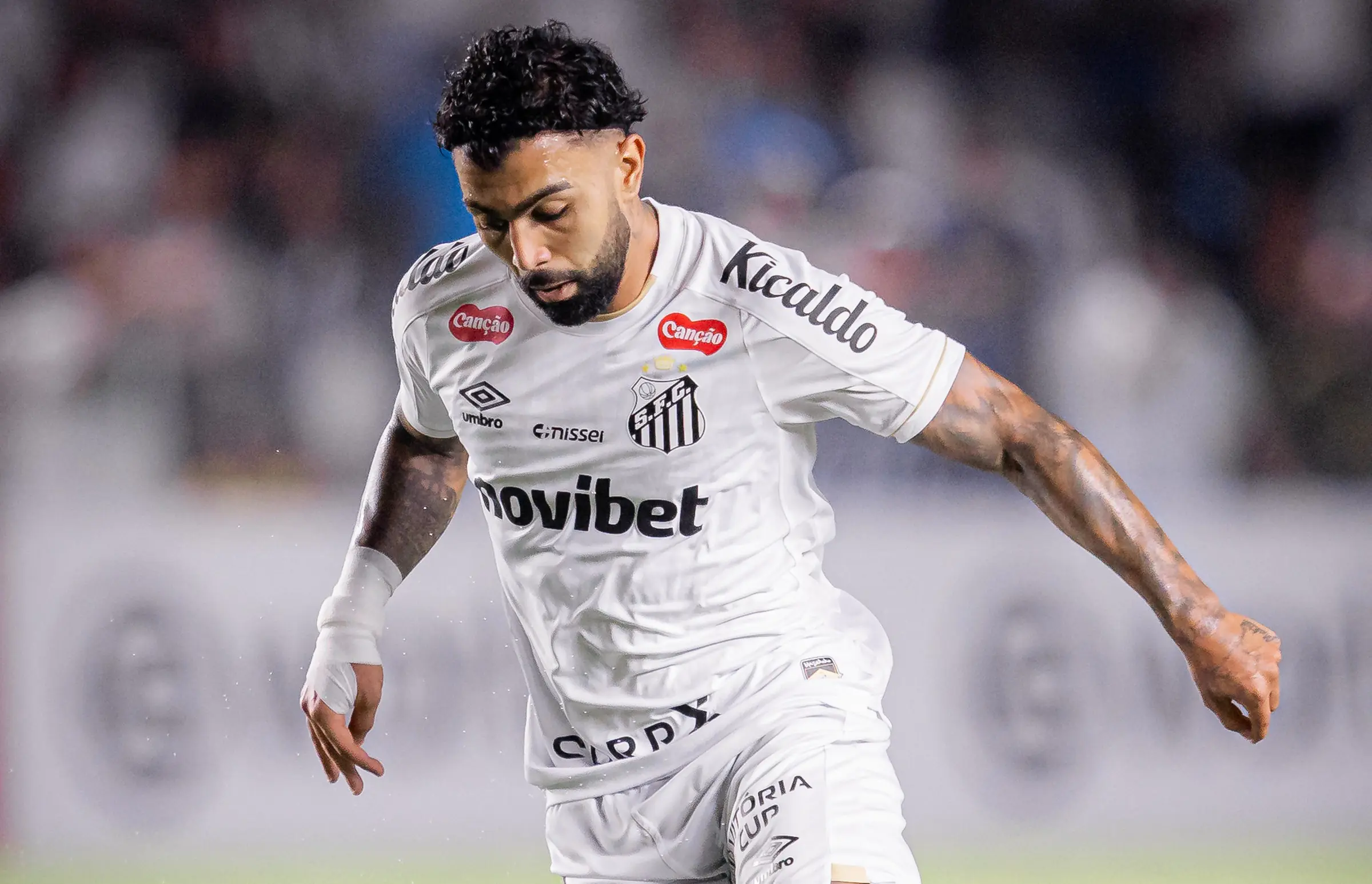 Imagem ilustrativa para a matéria