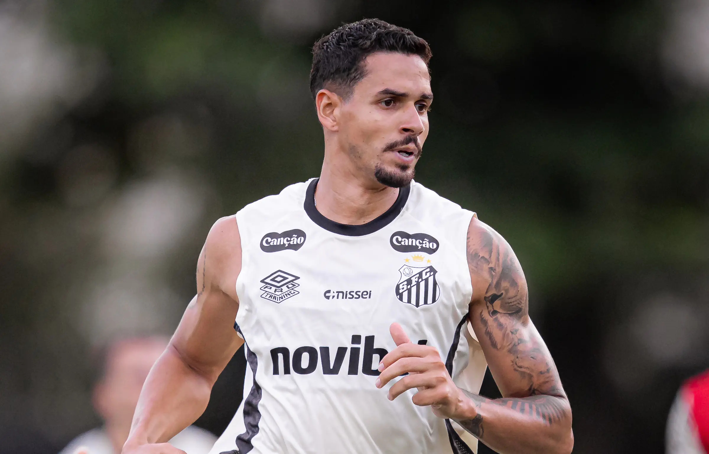 Imagem ilustrativa para a matéria