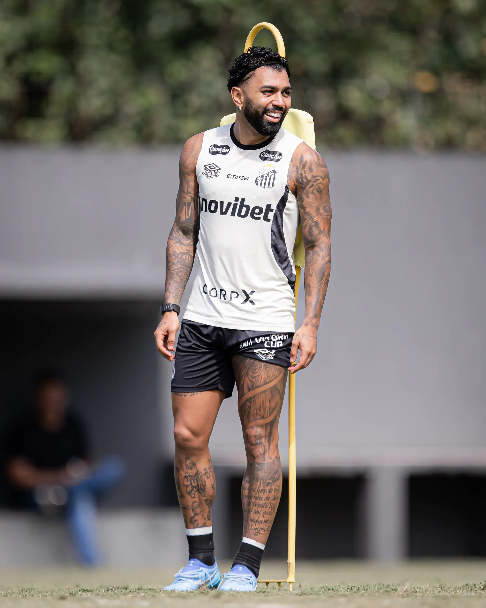 Imagem ilustrativa para a matéria