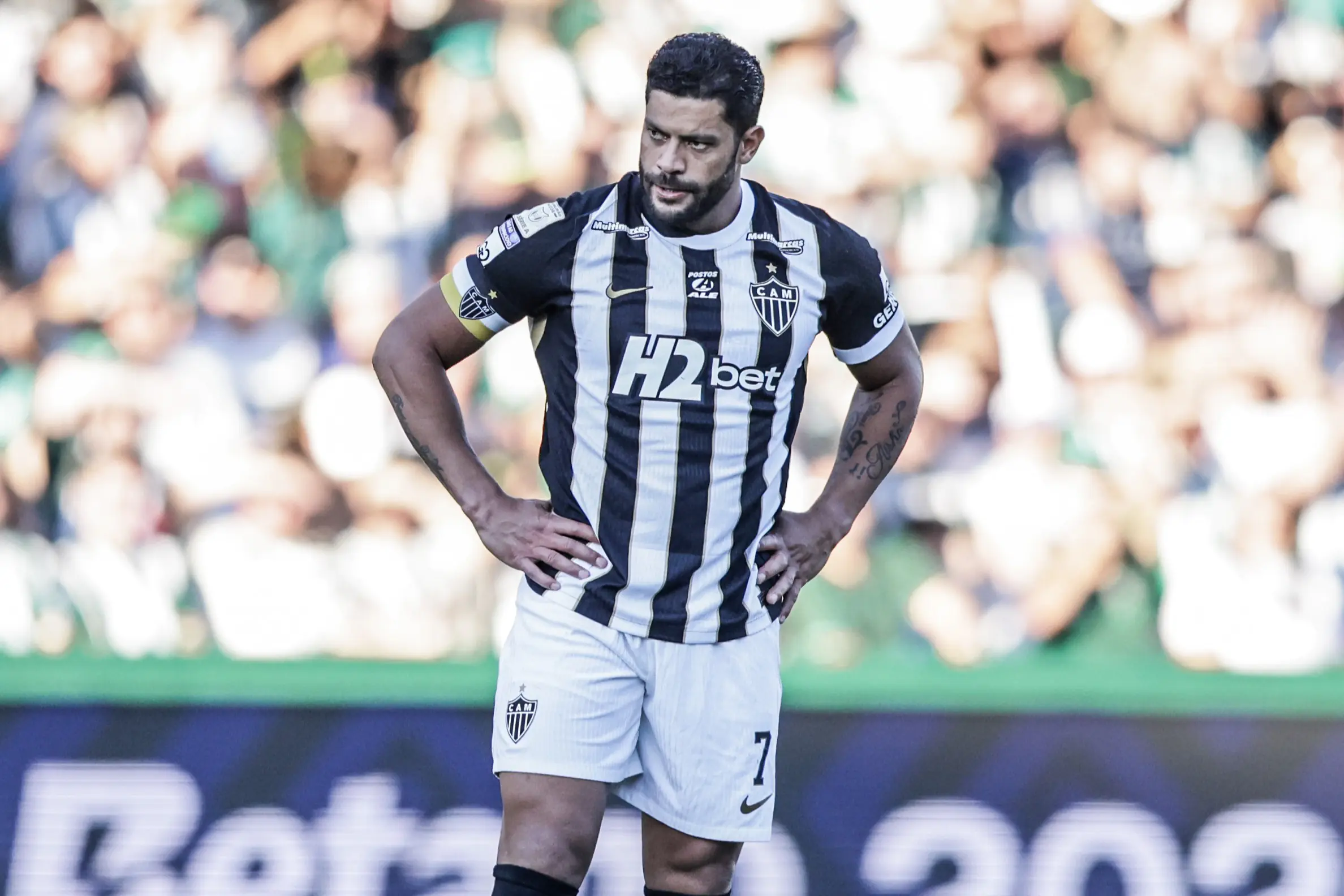 Imagem ilustrativa para a matéria