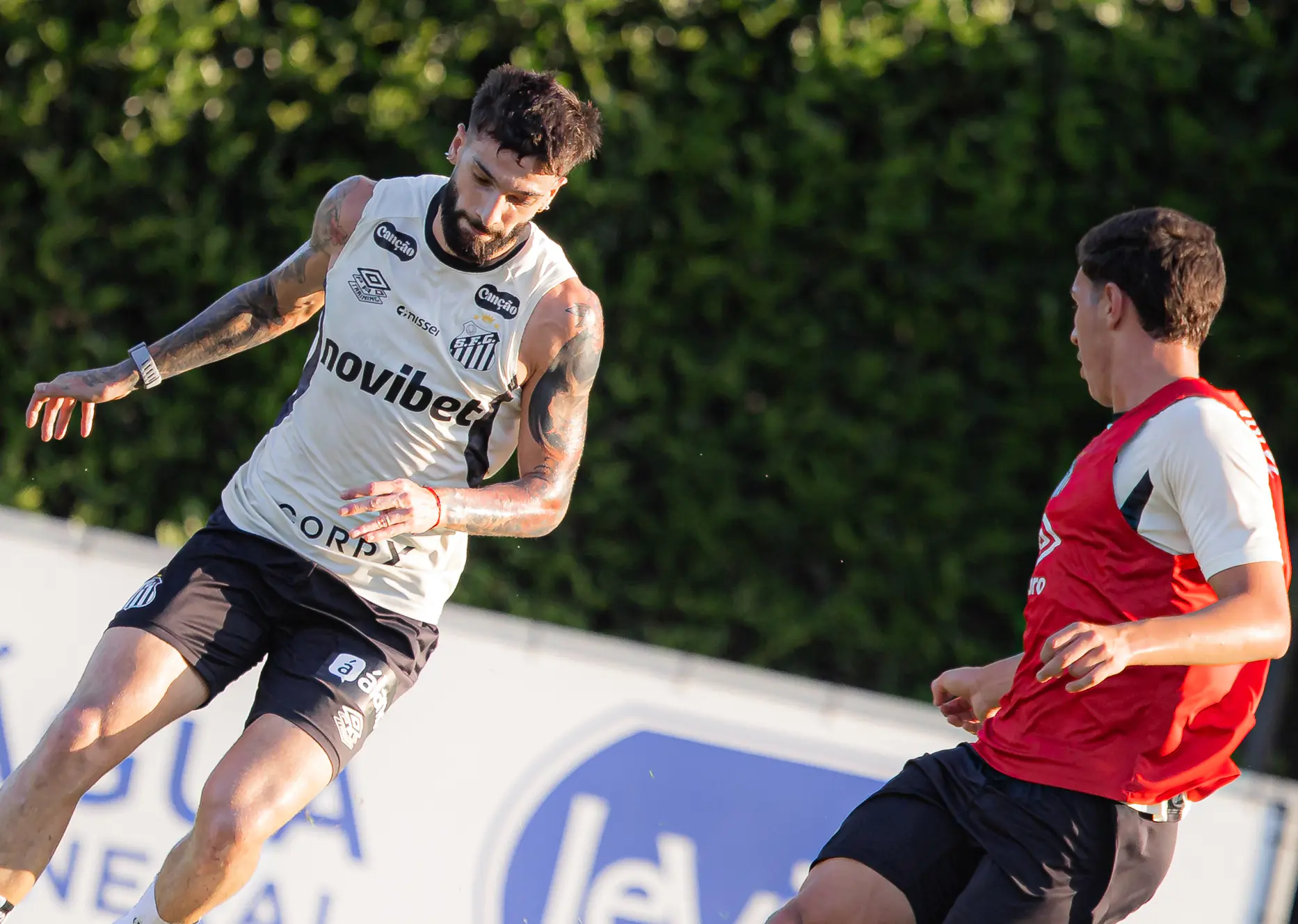 Imagem ilustrativa para a matéria