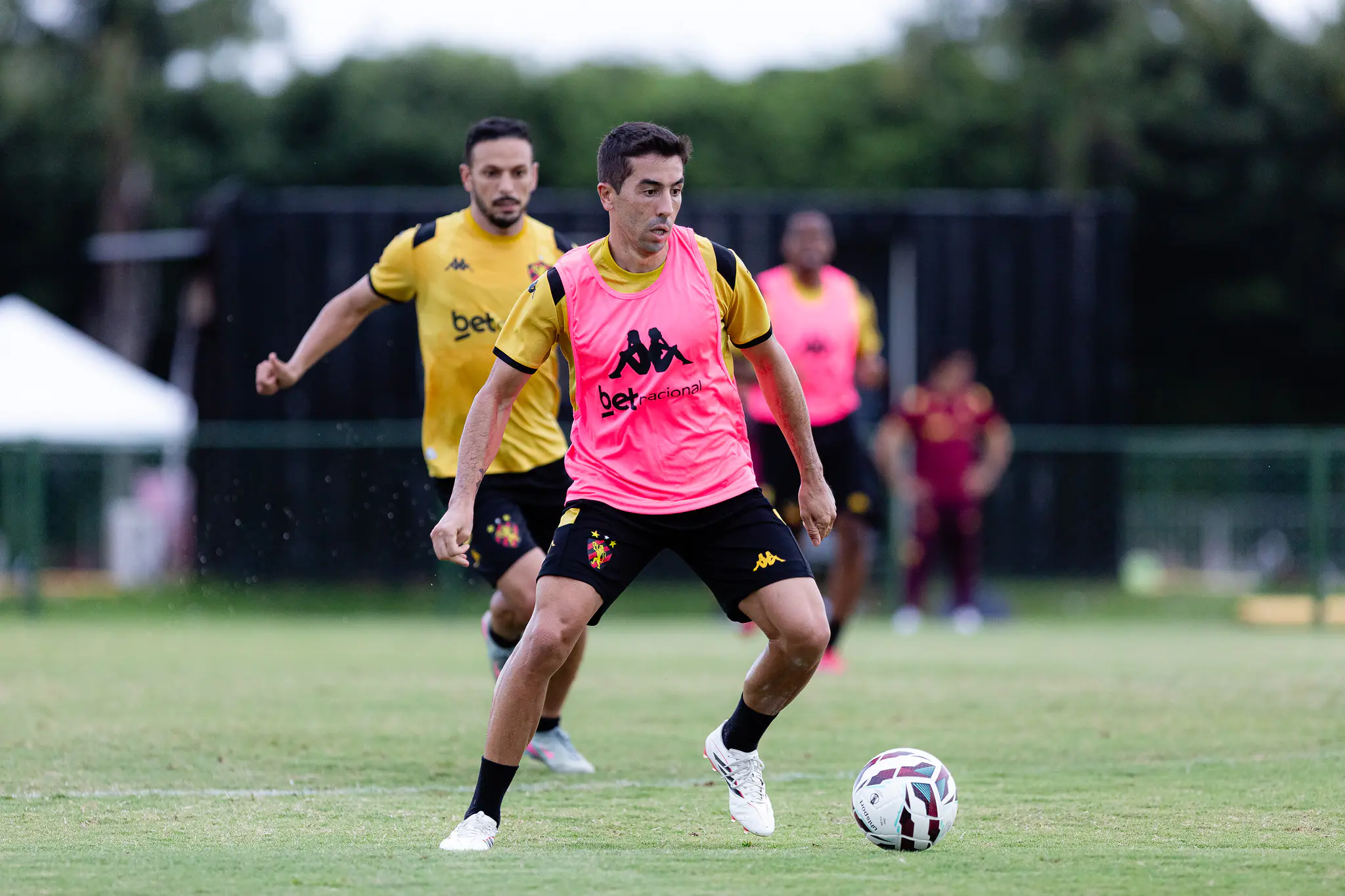 Imagem ilustrativa para a matéria