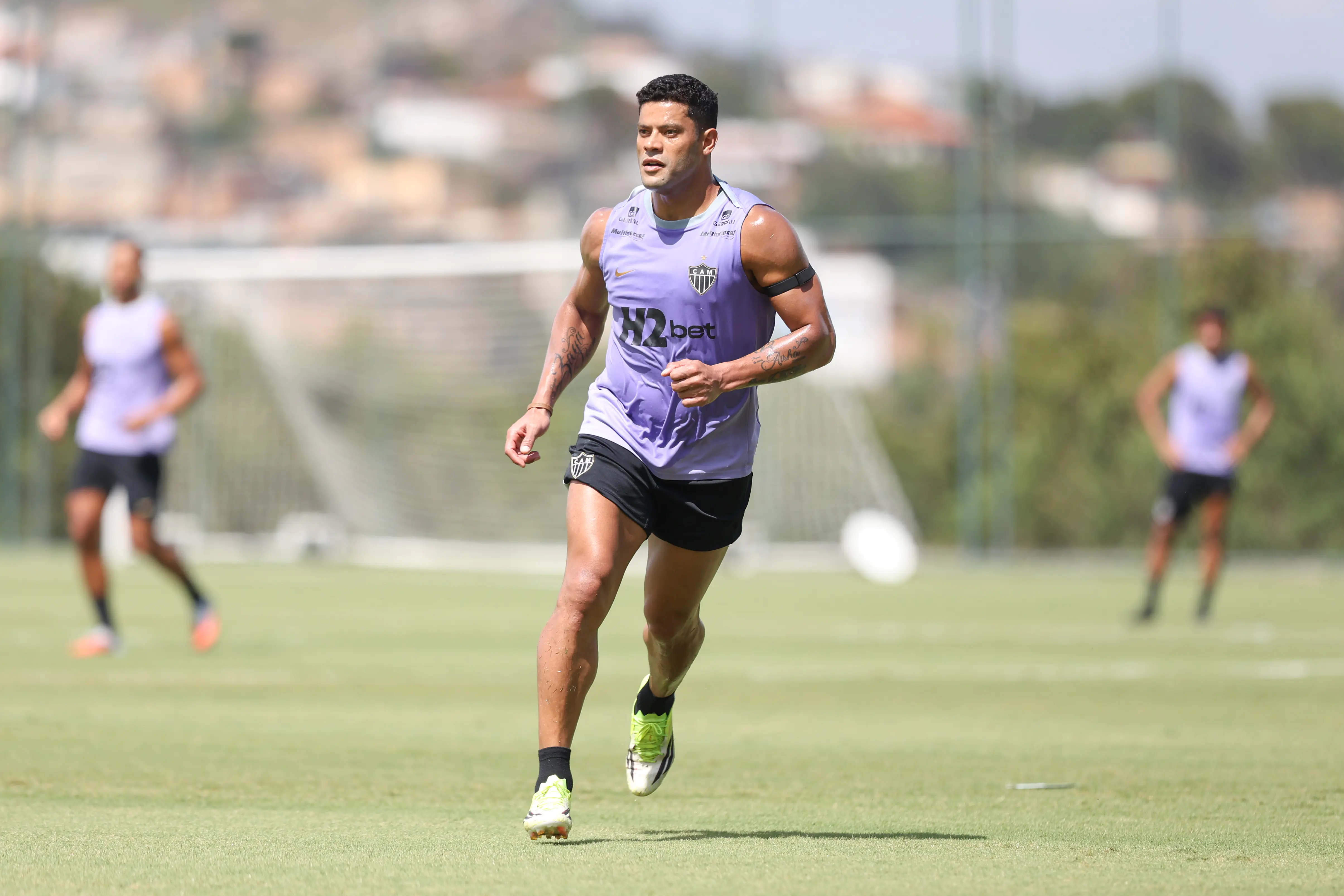 Imagem ilustrativa para a matéria