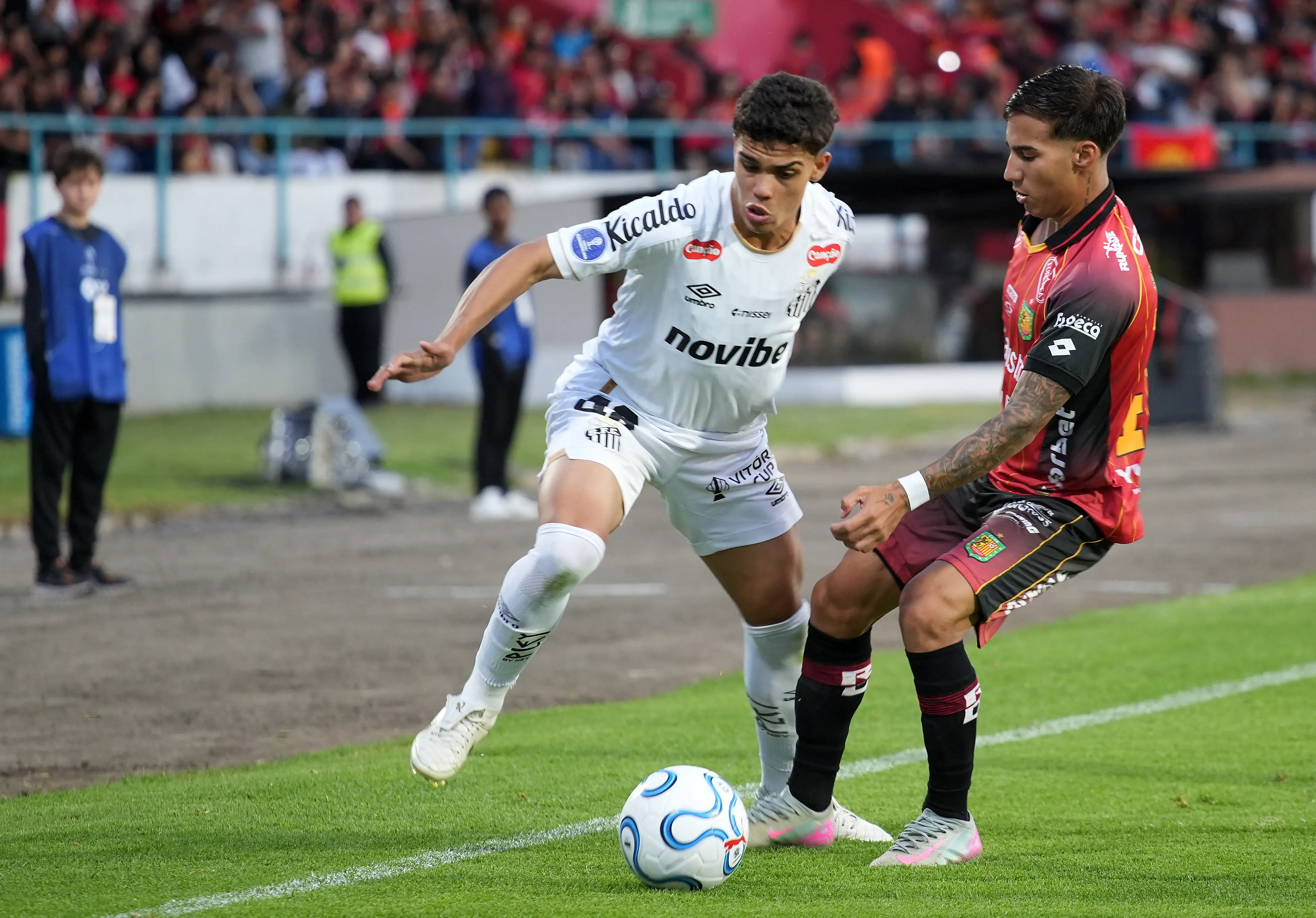 Imagem ilustrativa para a matéria