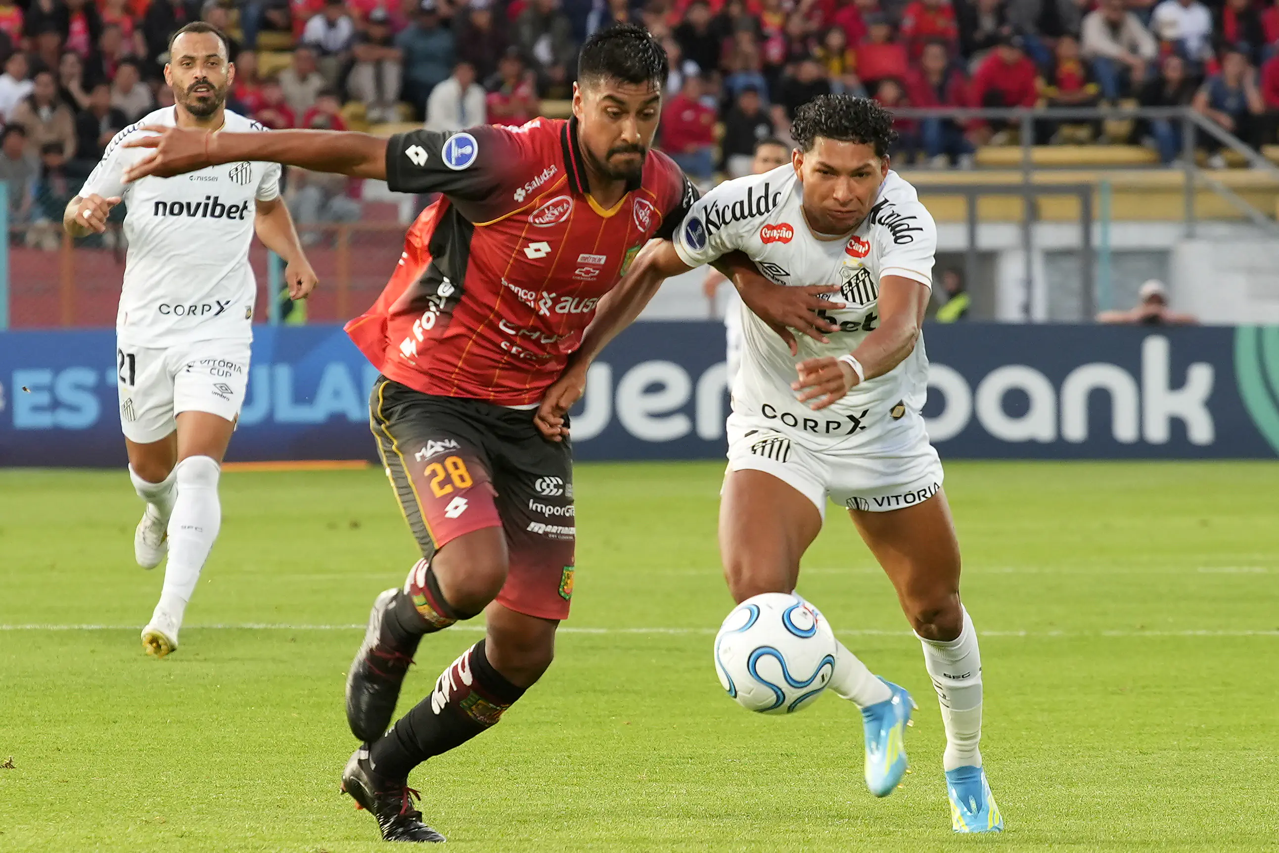 Imagem ilustrativa para a matéria