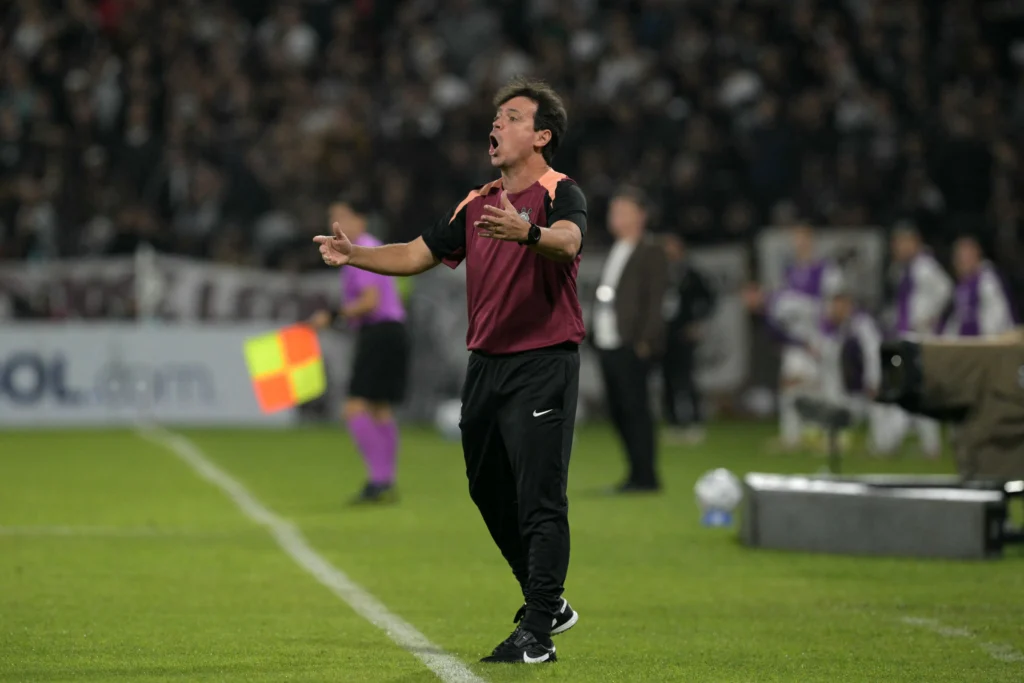 image para ilustrar o artigo